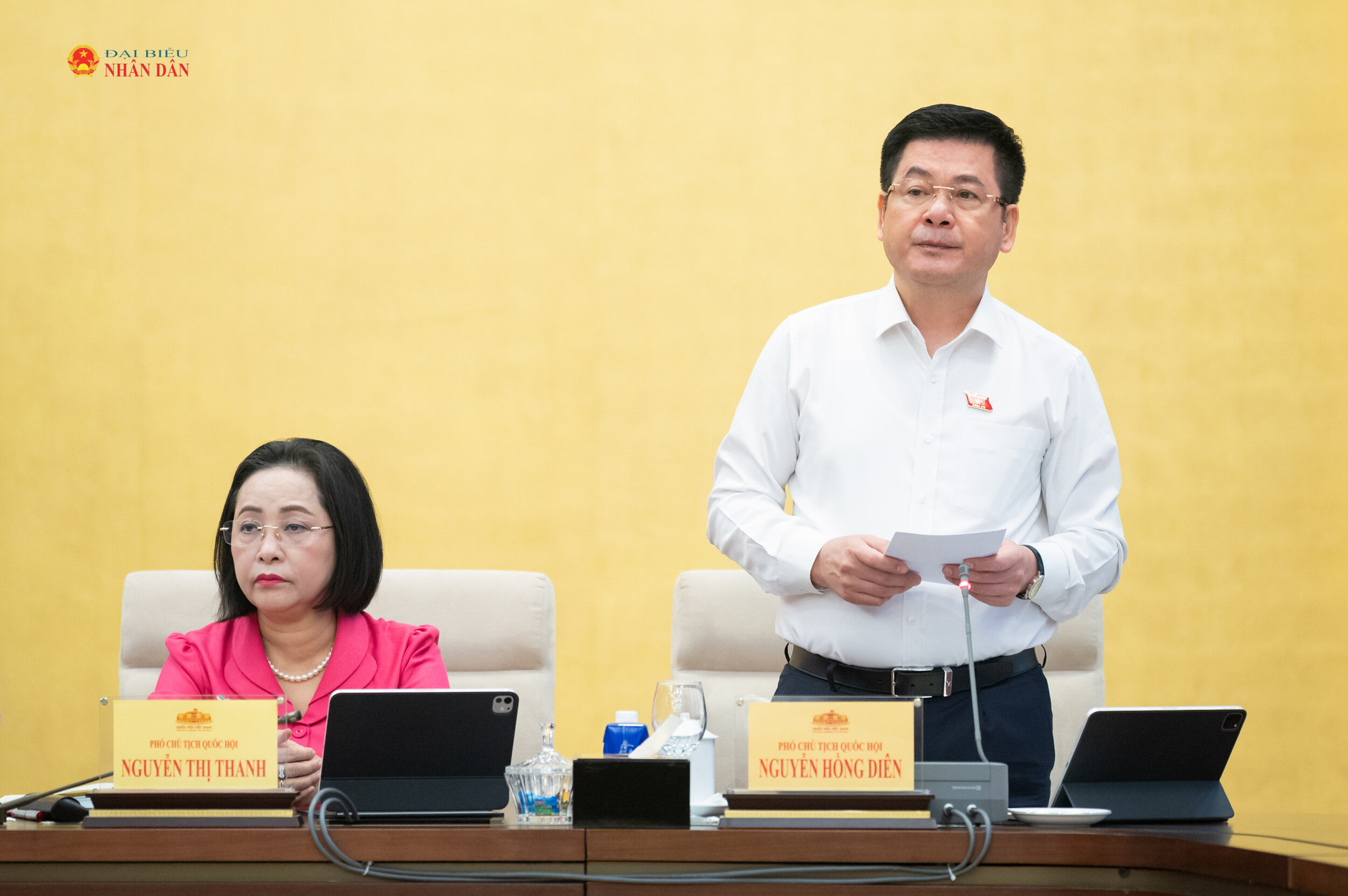 Phó Chủ tịch Quốc hội Nguyễn Hồng Diên phát biểu tại phiên họp