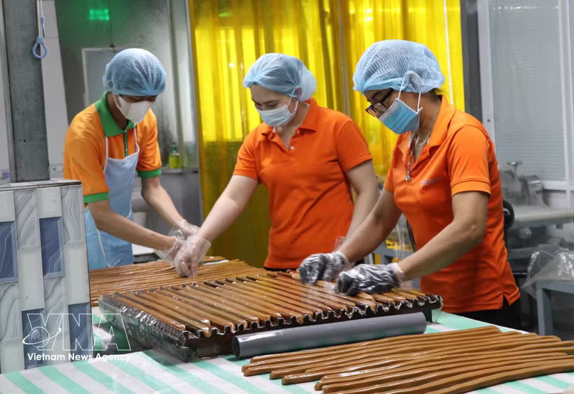 Workers at Cau Ke Wax Coconut Processing Company Limited (Vicosap), Tam Ngai commune, Vinh Long province, process products from wax coconuts. (Photo: VNA)