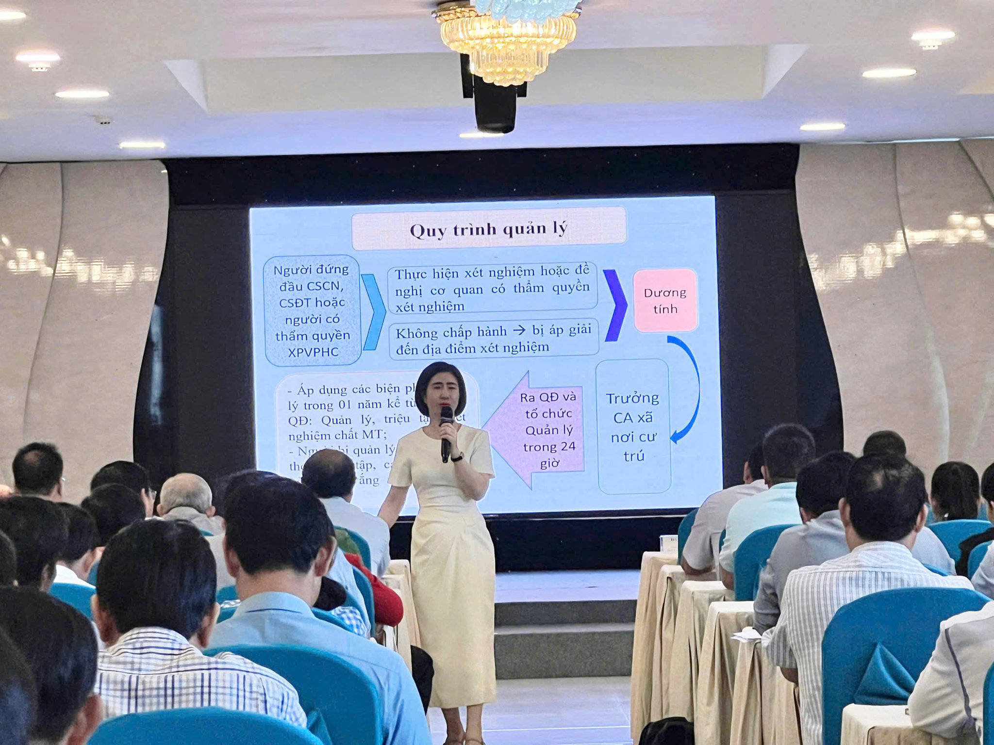 Phó Cục trưởng Cục Pháp luật hình sự và Quản lý xử lý vi phạm hành chính, Bộ Tư pháp TS. Lê Thị Vân Anh trình bày chuyên đề
