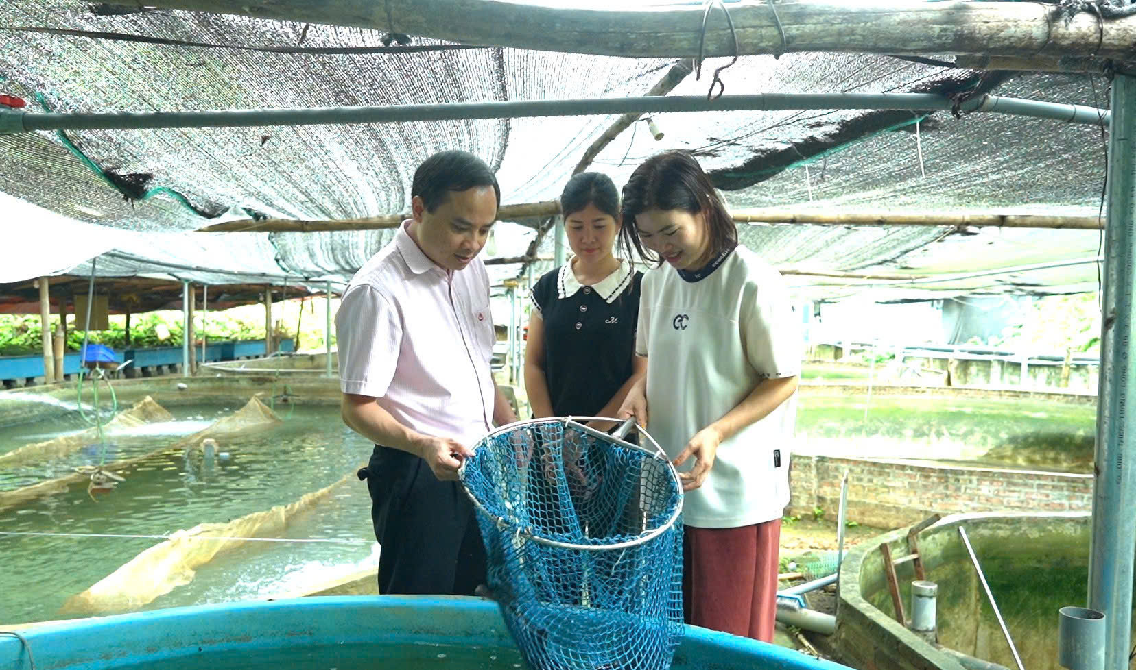 Mô hình nuôi cá tầm của gia đình chị Nguyễn Thị Thủy ( Lâm Bình) được mở rộng từ nguồn vốn vay ưu đãi