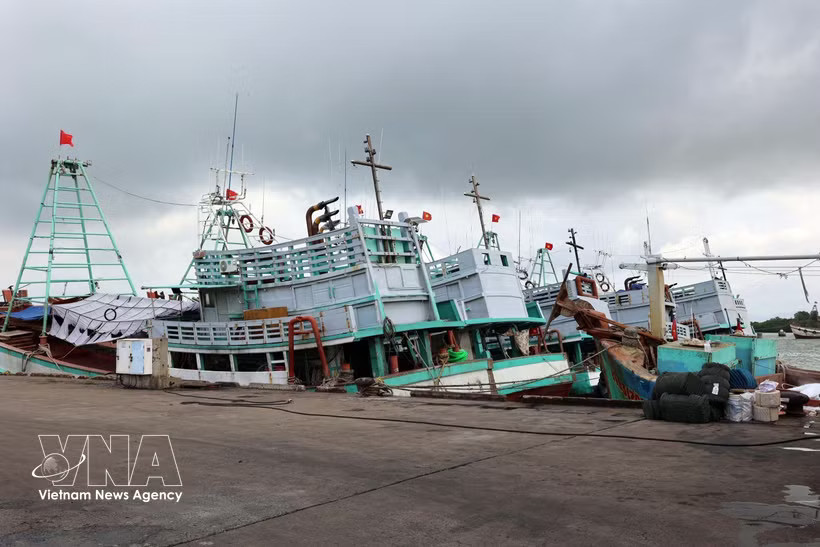 Vessels at Cat Lo Fishing Port in Phuoc Thang ward, Ho Chi Minh City (Photo: VNA)