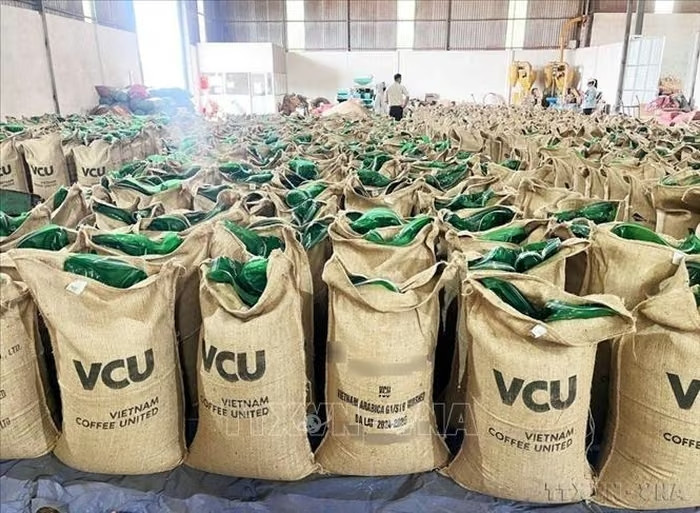 Cà phê là một trong những mặt hàng có kim ngạch xuất khẩu lớn của Việt Nam sang Nga