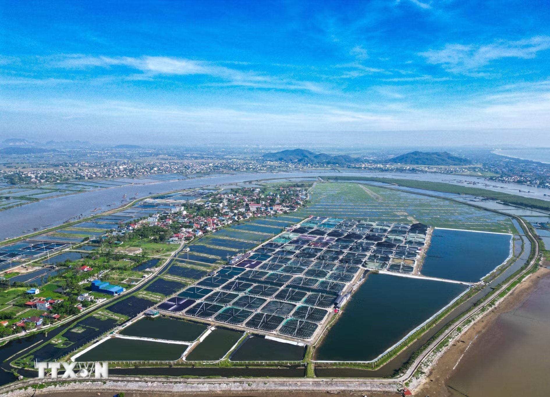 Nuôi trồng và chế biến thủy sản giữ vai trò quan trọng trong phát triển kinh tế biển của tỉnh Thanh Hóa