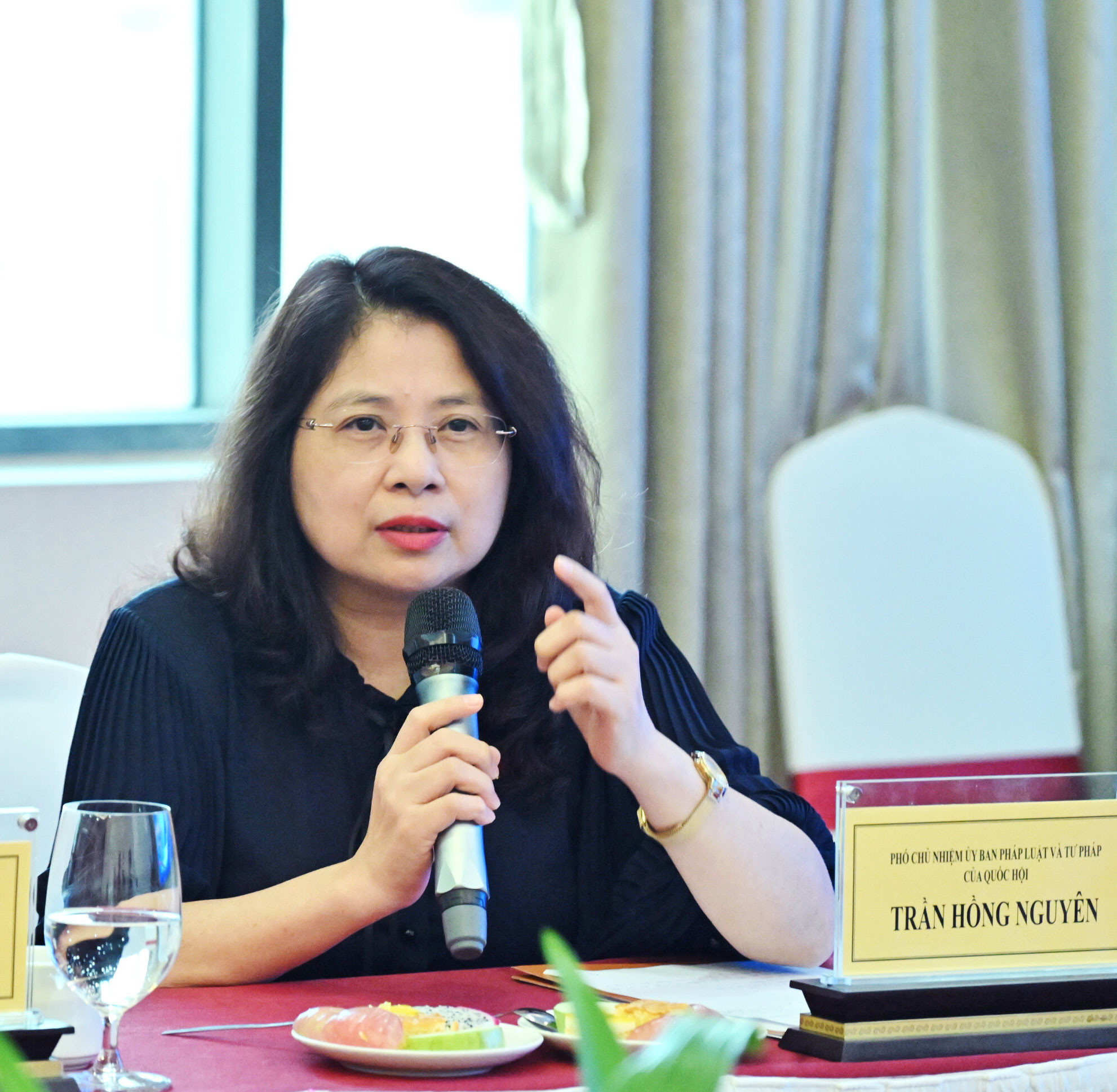 Phó Chủ nhiệm Ủy ban Pháp luật và Tư pháp Trần Hồng Nguyên phát biểu. Ảnh: Quang Khánh