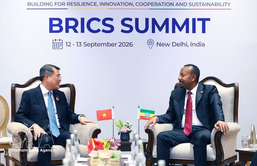 Vietnamese Prime Minister Le Minh Hung (L) meets with his Ethiopian counterpart Abiy Ahmed Ali in New Delhi. (Photo: VNA)