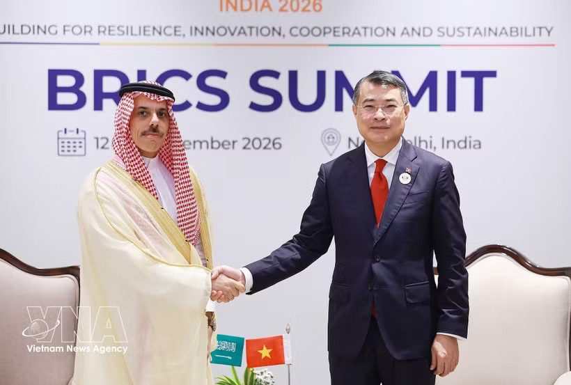 Prime Minister Le Minh Hung (R) receives Saudi Arabian Minister Foreign Affairs Prince Faisal bin Farhan Al Saud on September 13 on the sidelines of the 18th BRICS Summit in New Delhi, India. (Photo: VNA)