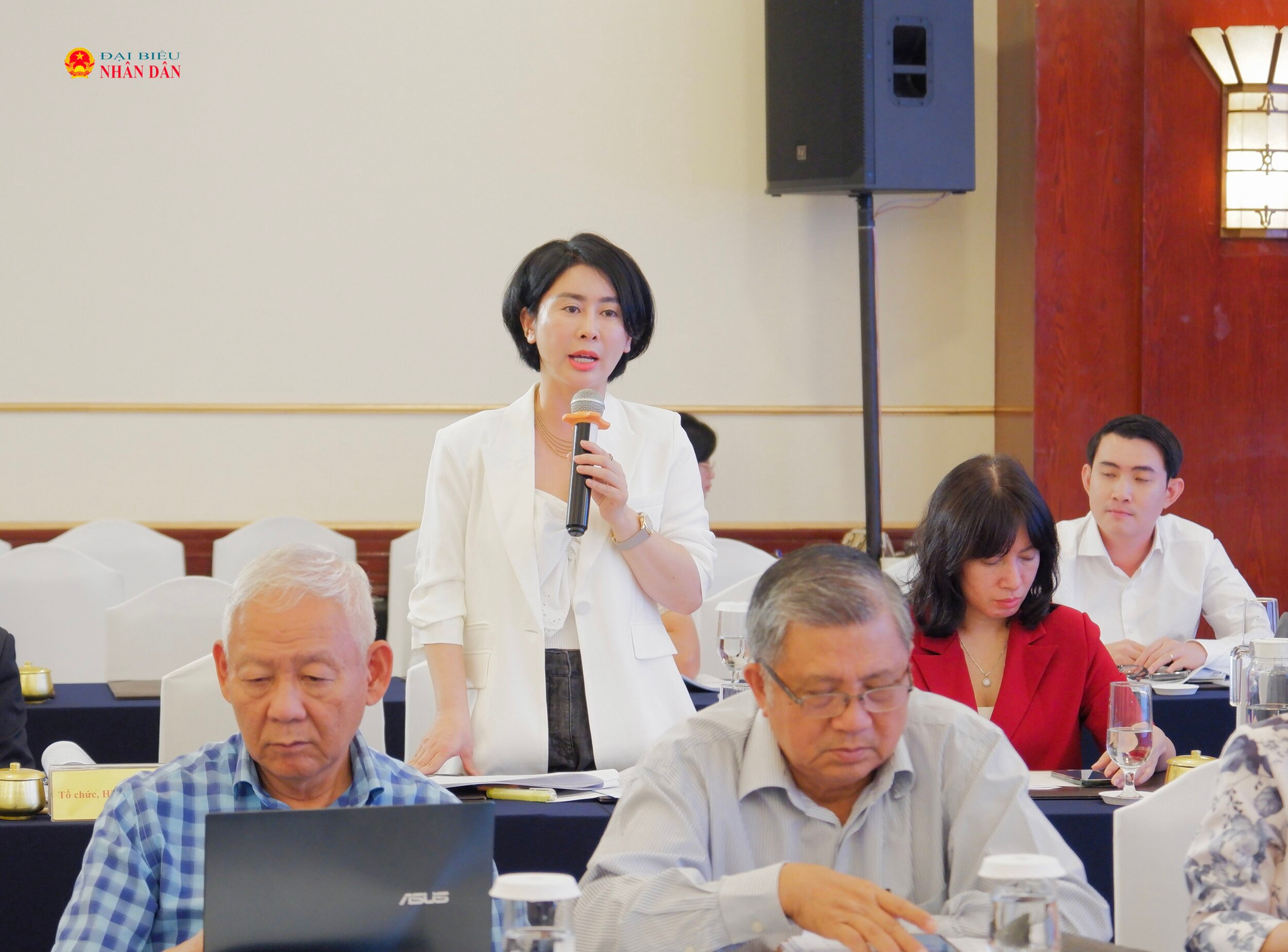 Phó Tổng giám đốc Tập đoàn Vingroup Trần Vân Anh phát biểu