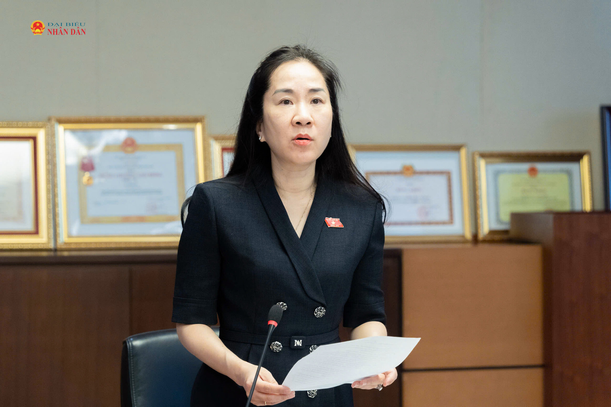 Phó Chủ nhiệm Ủy ban Kinh tế và Tài chính Đoàn Thị Thanh Mai 1