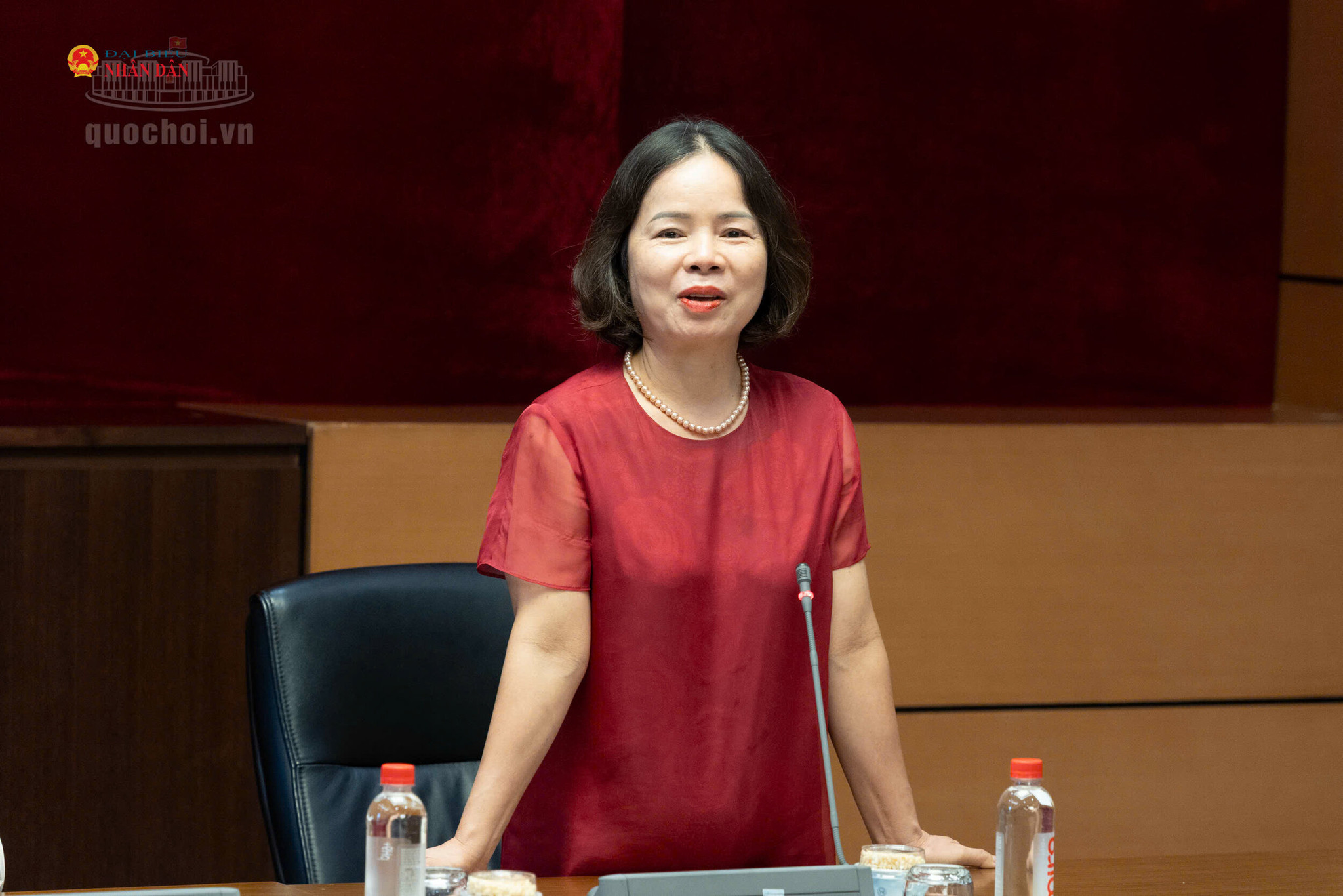 Chủ tịch Hội Người cao tuổi tỉnh Quảng Ngãi Phạm Thị Thu Trang phát biểu