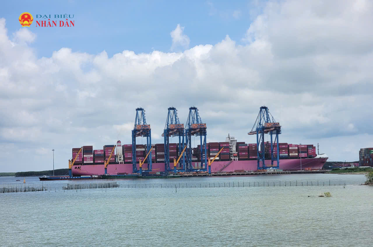 Tàu container quốc tế đang bốc dỡ container tại khu vực Cảng Cái Mép - Thị Vải. Ảnh: Quang Phương