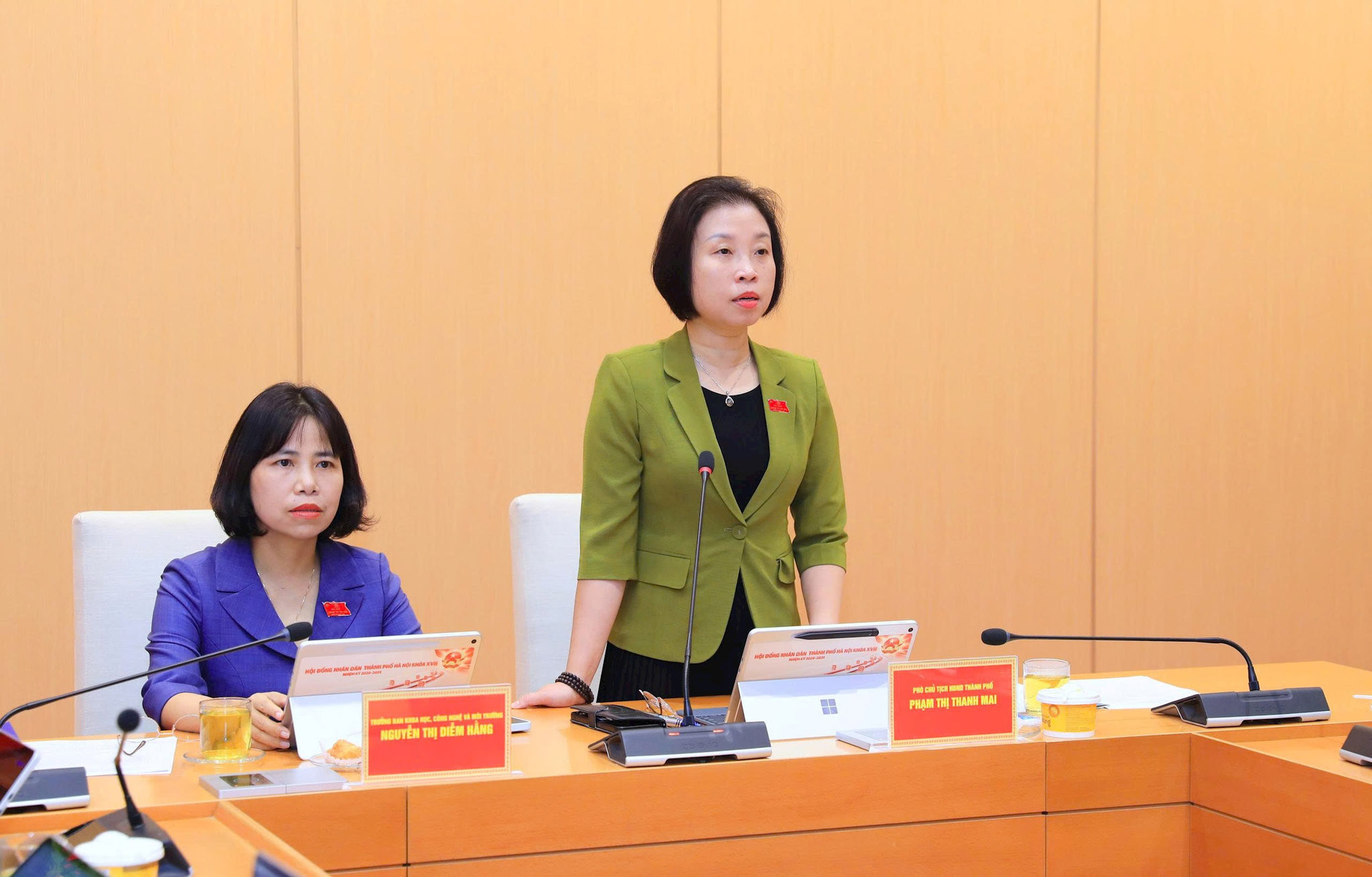 Phó Chủ tịch HĐND thành phố Hà Nội Phạm Thị Thanh Mai phát biểu kết luận buổi làm việc