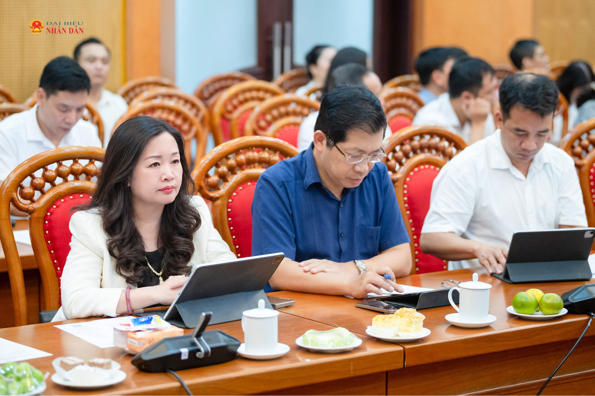 Các đại biểu dự cuộc làm việc