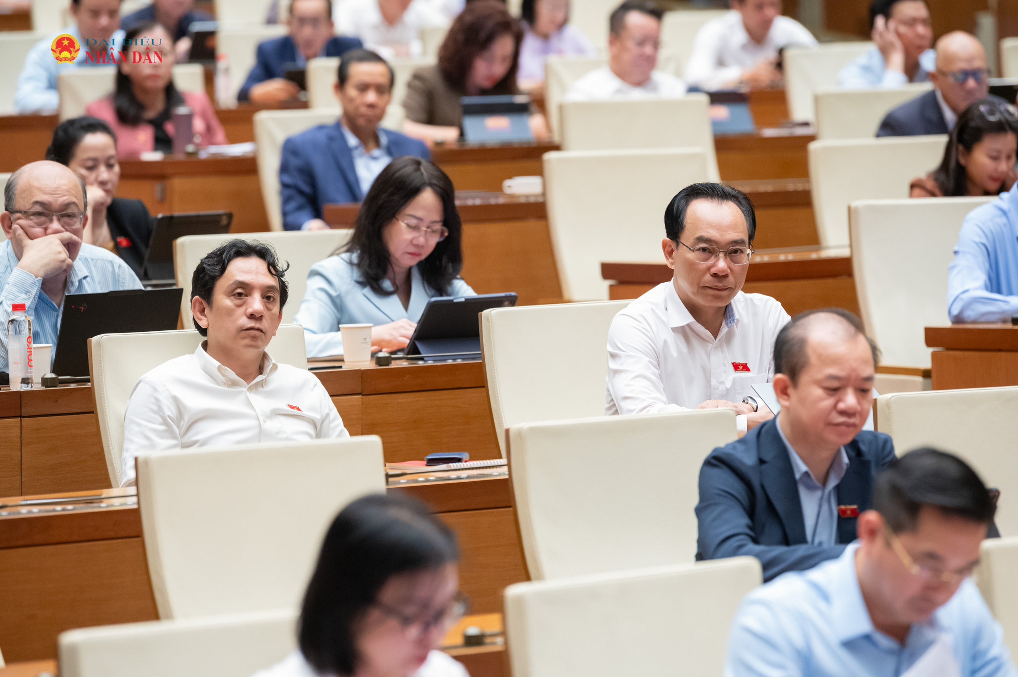 Các đại biểu dự phiên họp