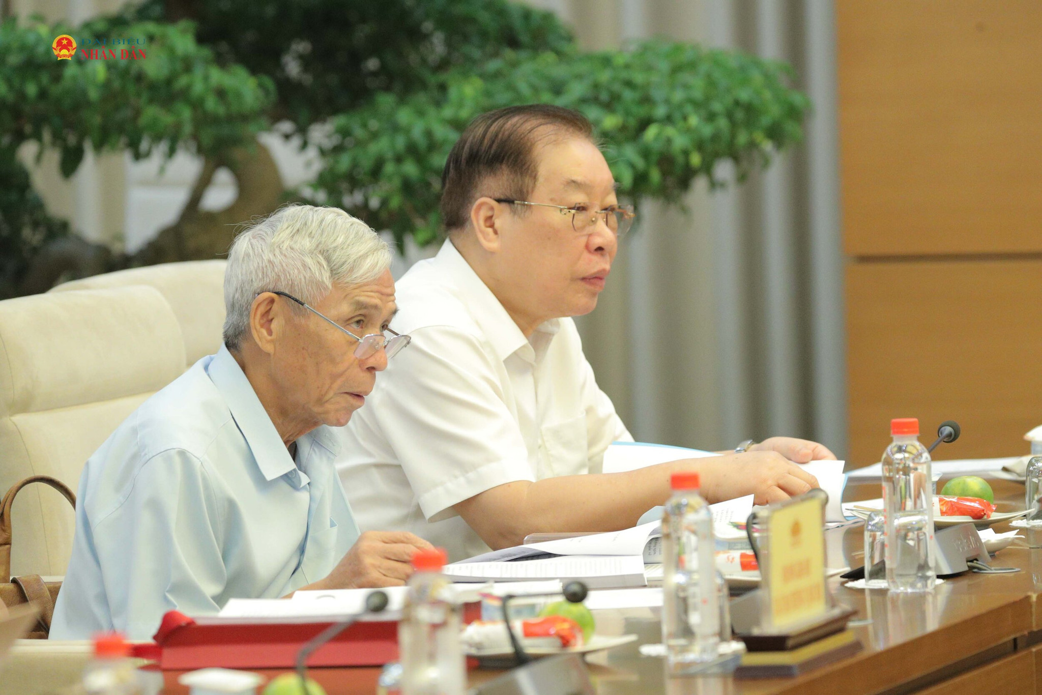 Các đại biểu dự 5