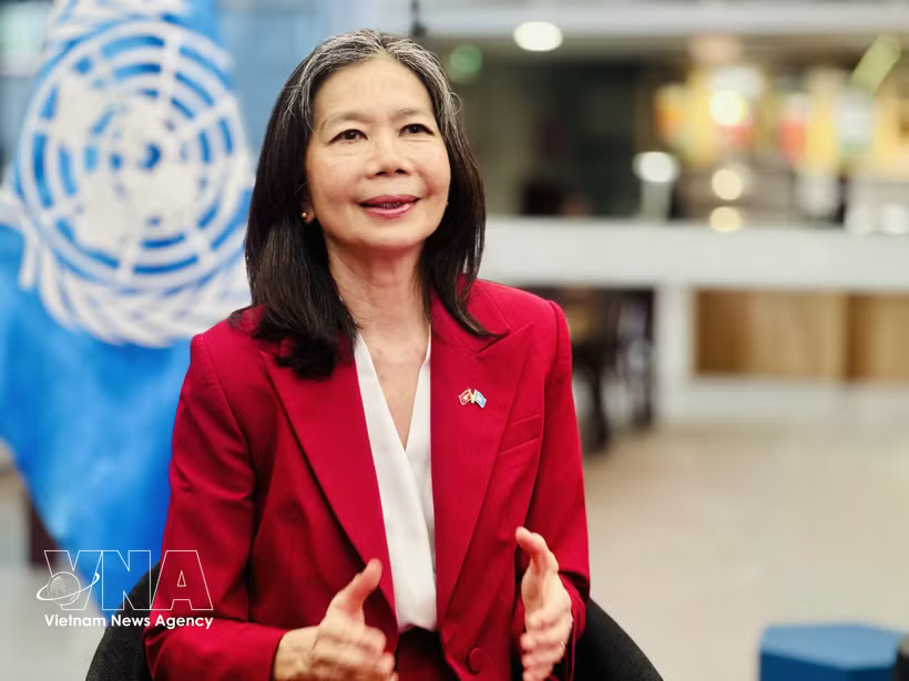N Resident Coordinator in Vietnam Pauline Tamesis. Photo: VNA