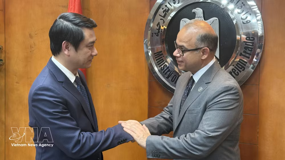 Deputy Minister of Foreign Affairs Le Anh Tuan and Egyptian Minister of Investment and Foreign Trade Mohamed Farid Saleh at their meeting in Cairo. (Photo: VNA) vnanet-mohamed-farid-saleh.jpg