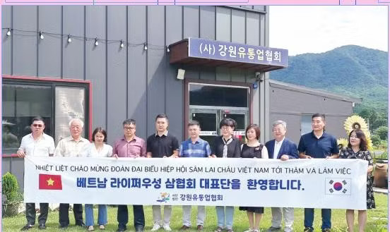 A delegation from the Lai Chau ginseng association learns about ginseng processing technology in the Republic of Korea. (Photo: baolaichau.vn)