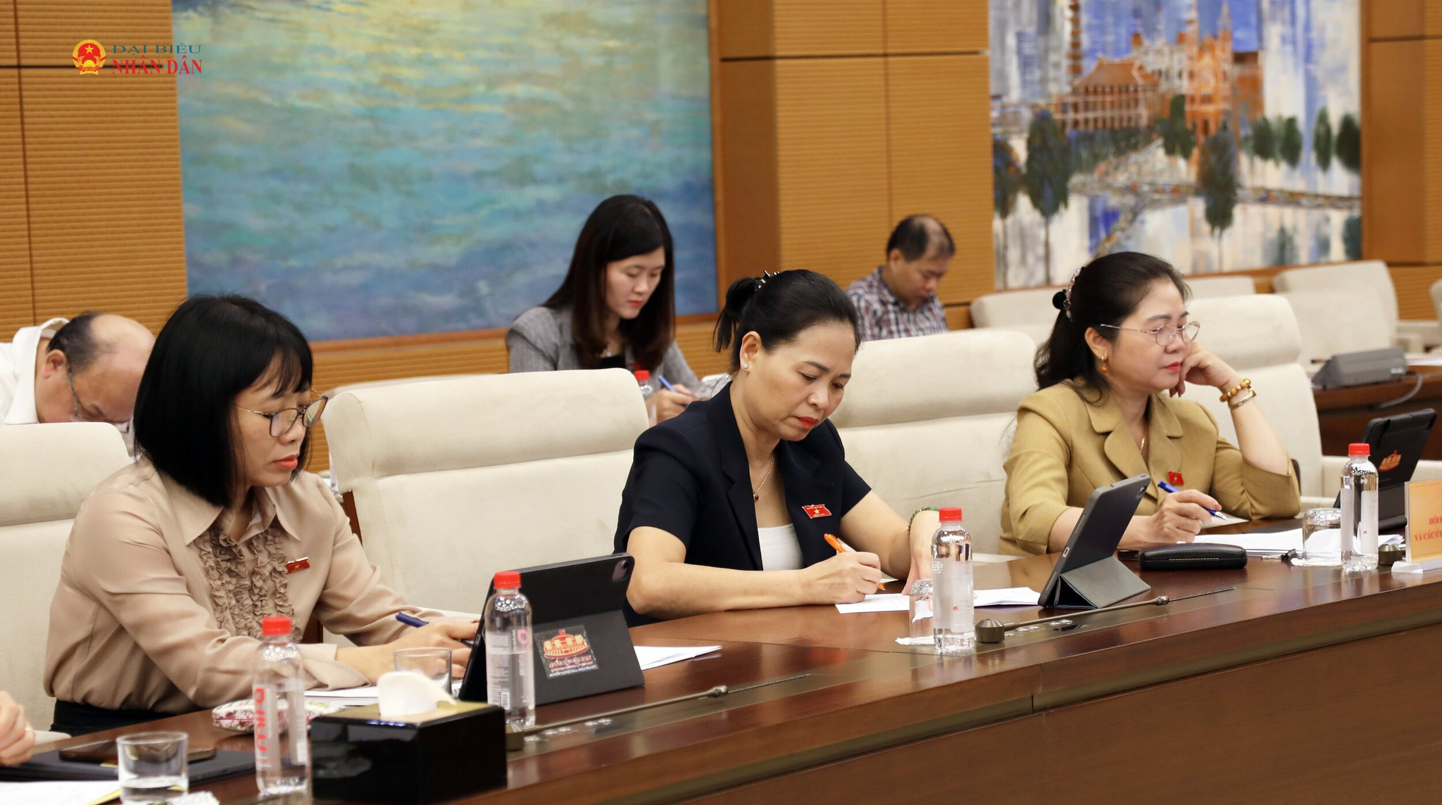 Các đại biểu dự Phiên giải trình