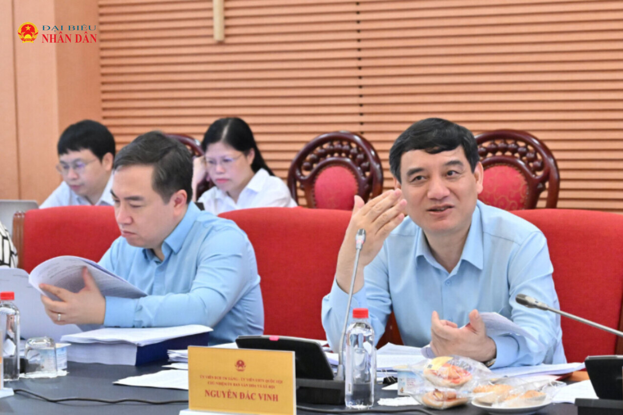 Thẩm tra sơ bộ dự án Luật Phát triển công nghiệp văn hóa