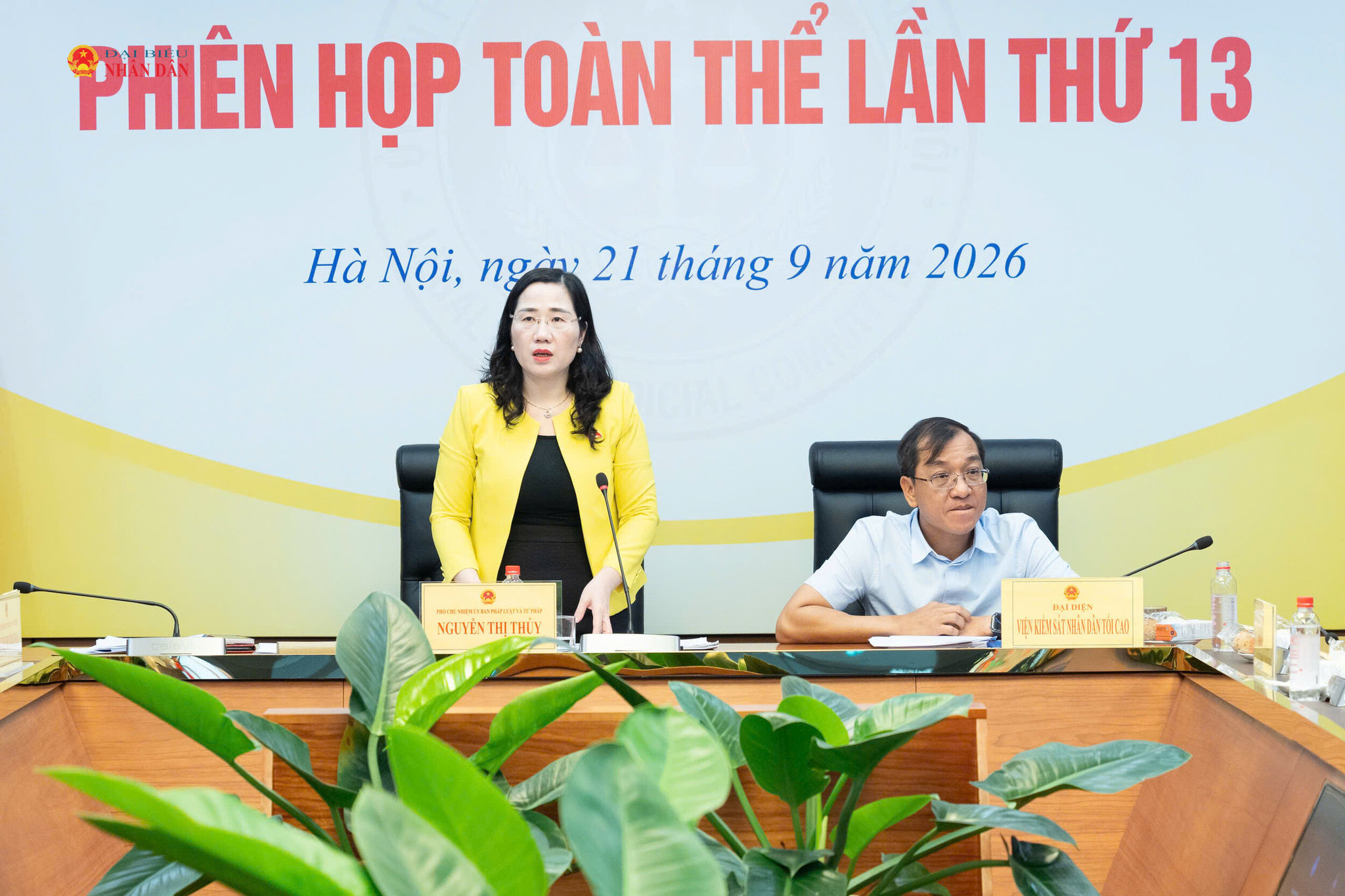 Phó Chủ nhiệm Ủy ban Pháp luật và Tư pháp Nguyễn Thị Thủy phát biểu tại phiên họp