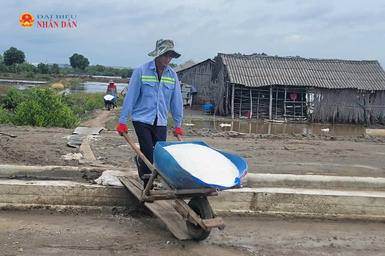 Người dân tham gia vận chuyển muối tại các ruộng muối trên địa bàn phường Tân Hải (khu vực tỉnh Bà Rịa - Vũng Tàu cũ)