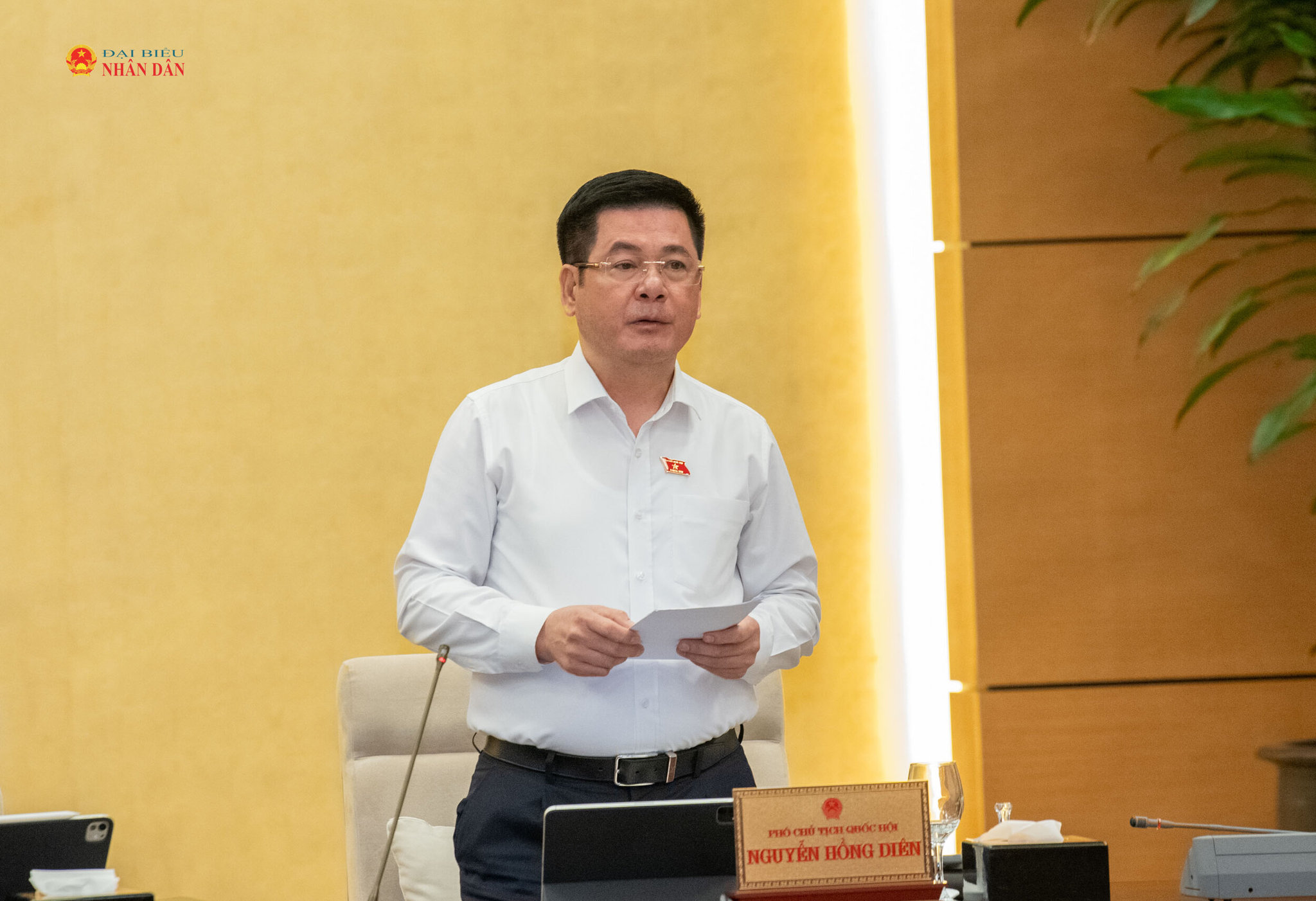 Phó chủ tịch QH Nguyễn Hồng Diên phát biểu