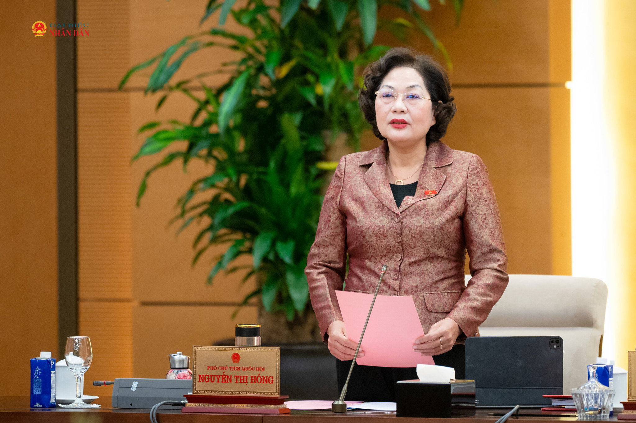 Phó Chủ tịch Thường trực Quốc hội Nguyễn Thị Hồng phát biểu