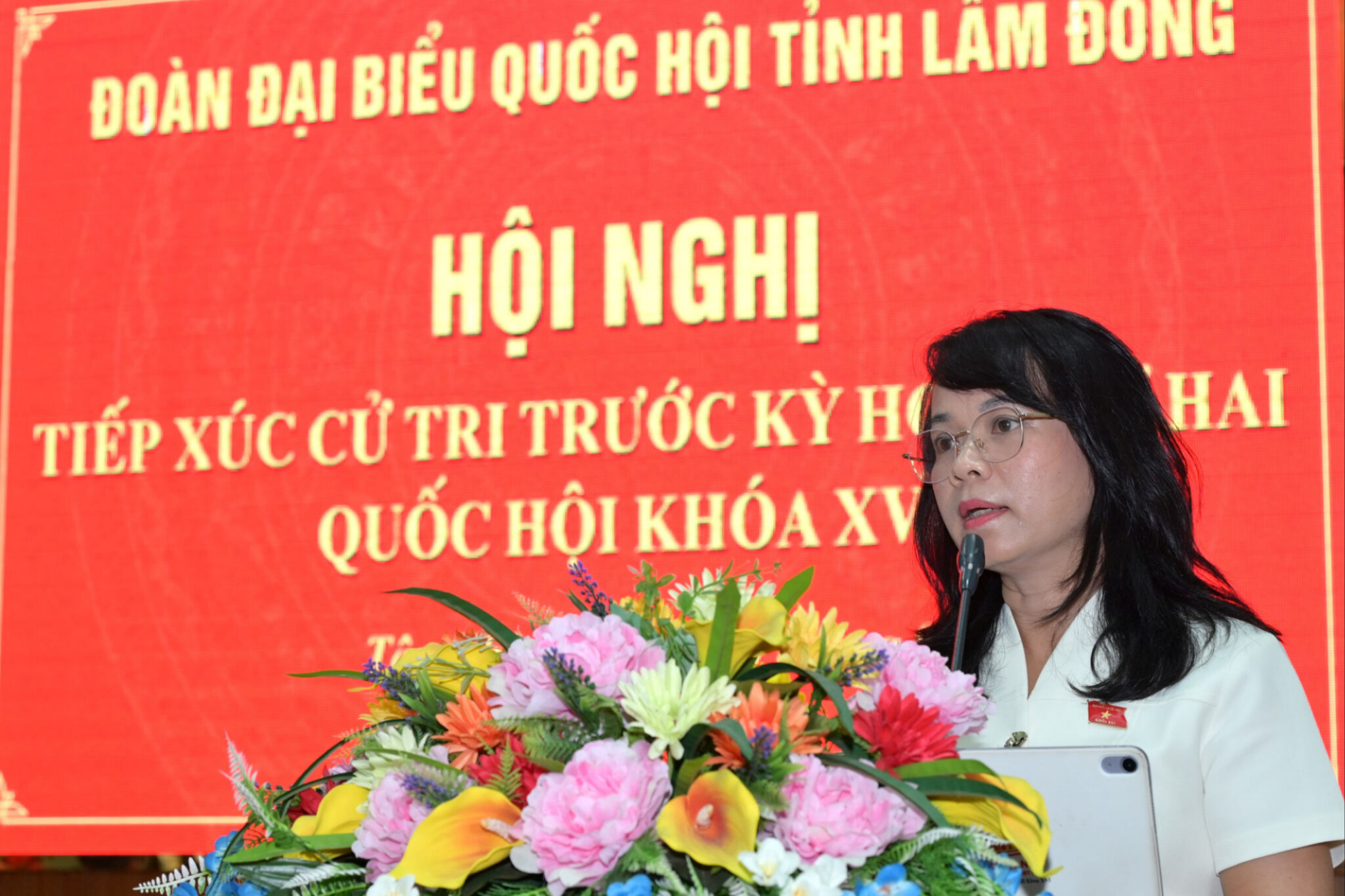 Phó Chủ nhiệm Ủy ban Pháp luật và Tư pháp của Quốc hội Phạm Thị Hồng Yến phát biểu tại hội nghị