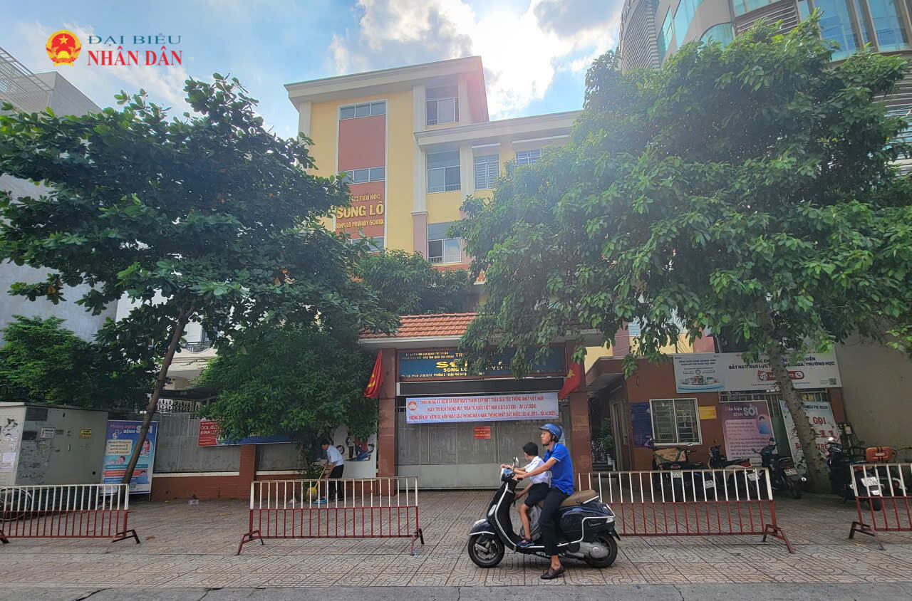 Cây xanh trước cổng Trường Tiểu học Sông Lô (phường Đức Nhuận)