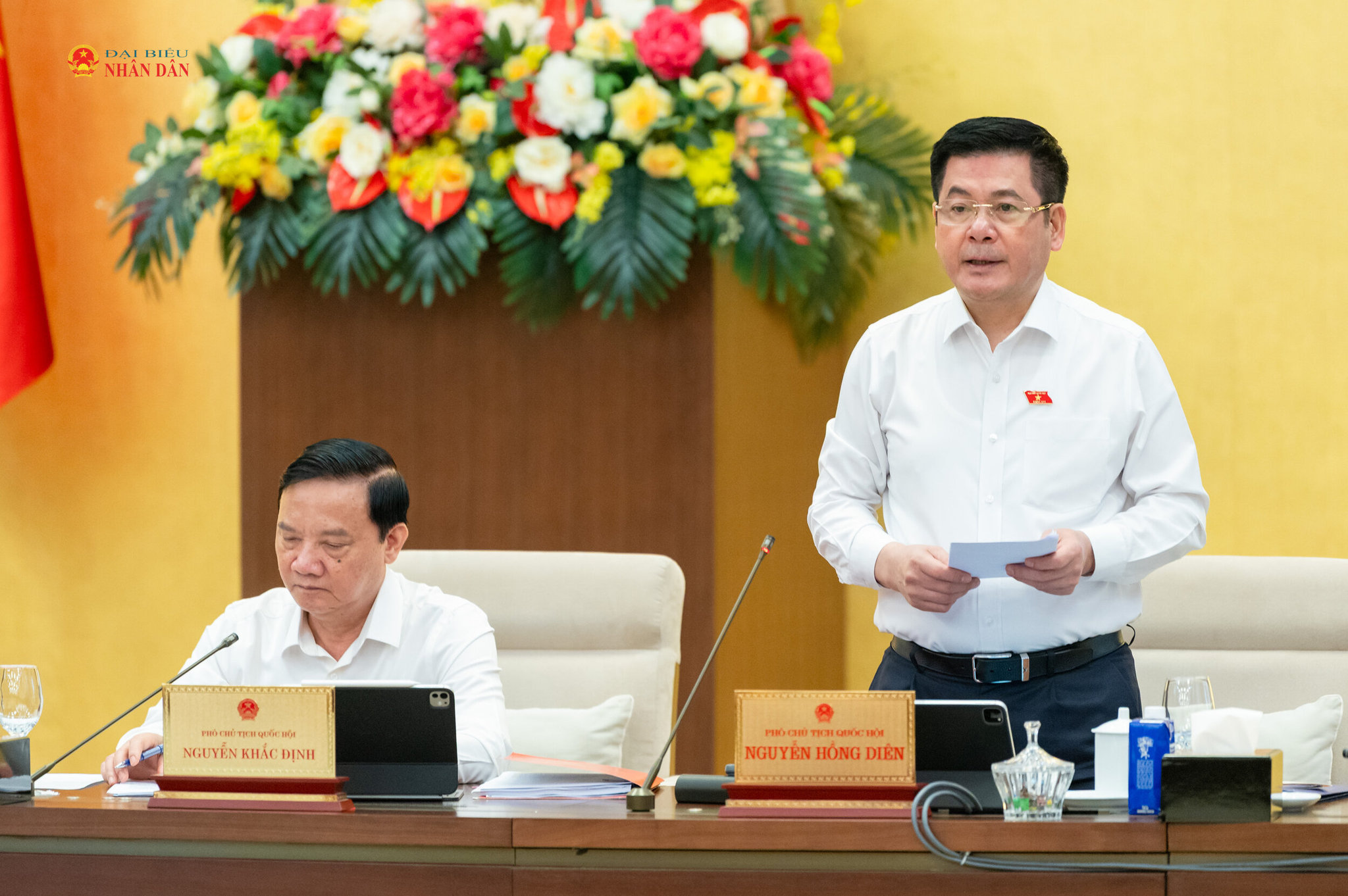 Phó Chủ tịch Quốc hội Nguyễn Hồng Diên phát biểu