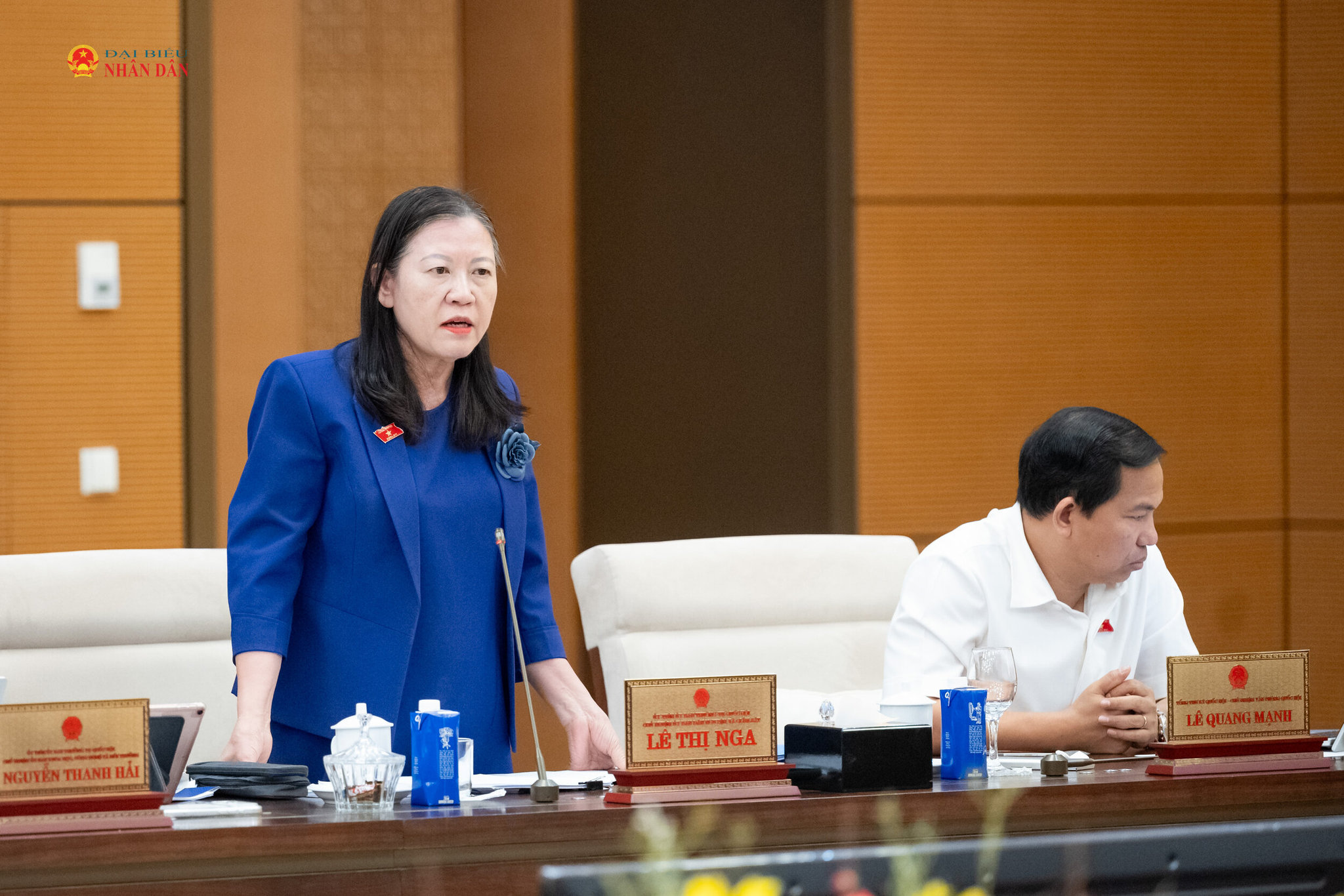 Chủ nhiệm Ủy ban Dân nguyện và Giám sát Lê Thị Nga phát biểu
