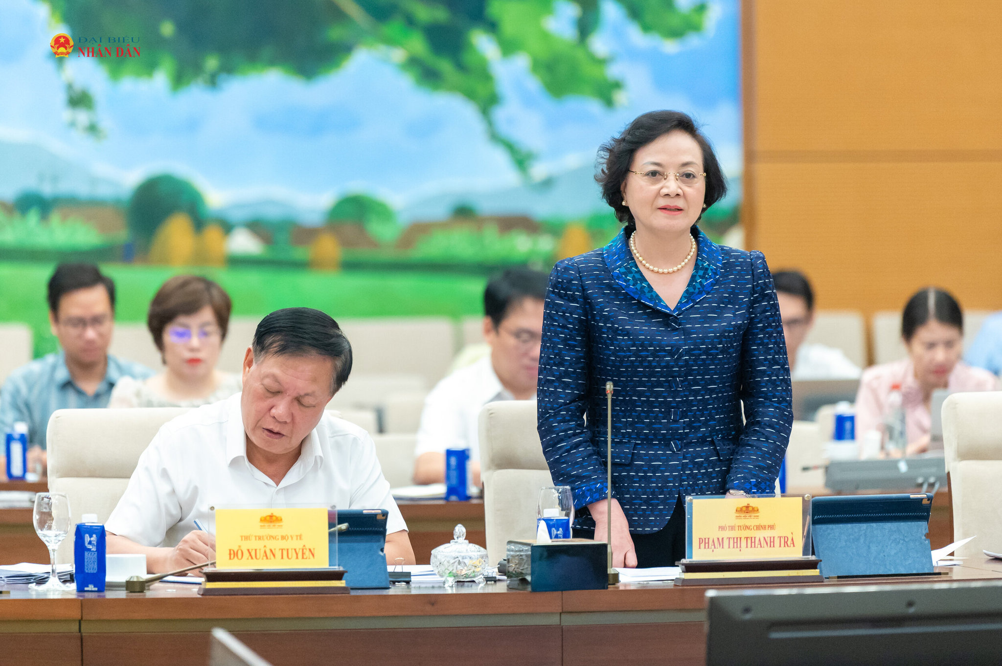 Phó Thủ tướng Phạm Thị Thanh Trà phát biểu