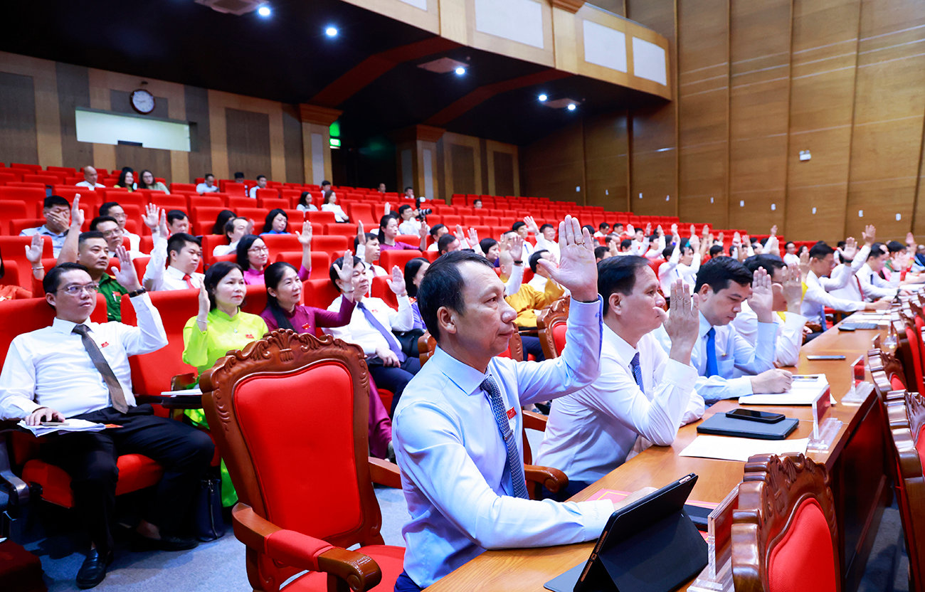 Bieu quyet 1 (4)