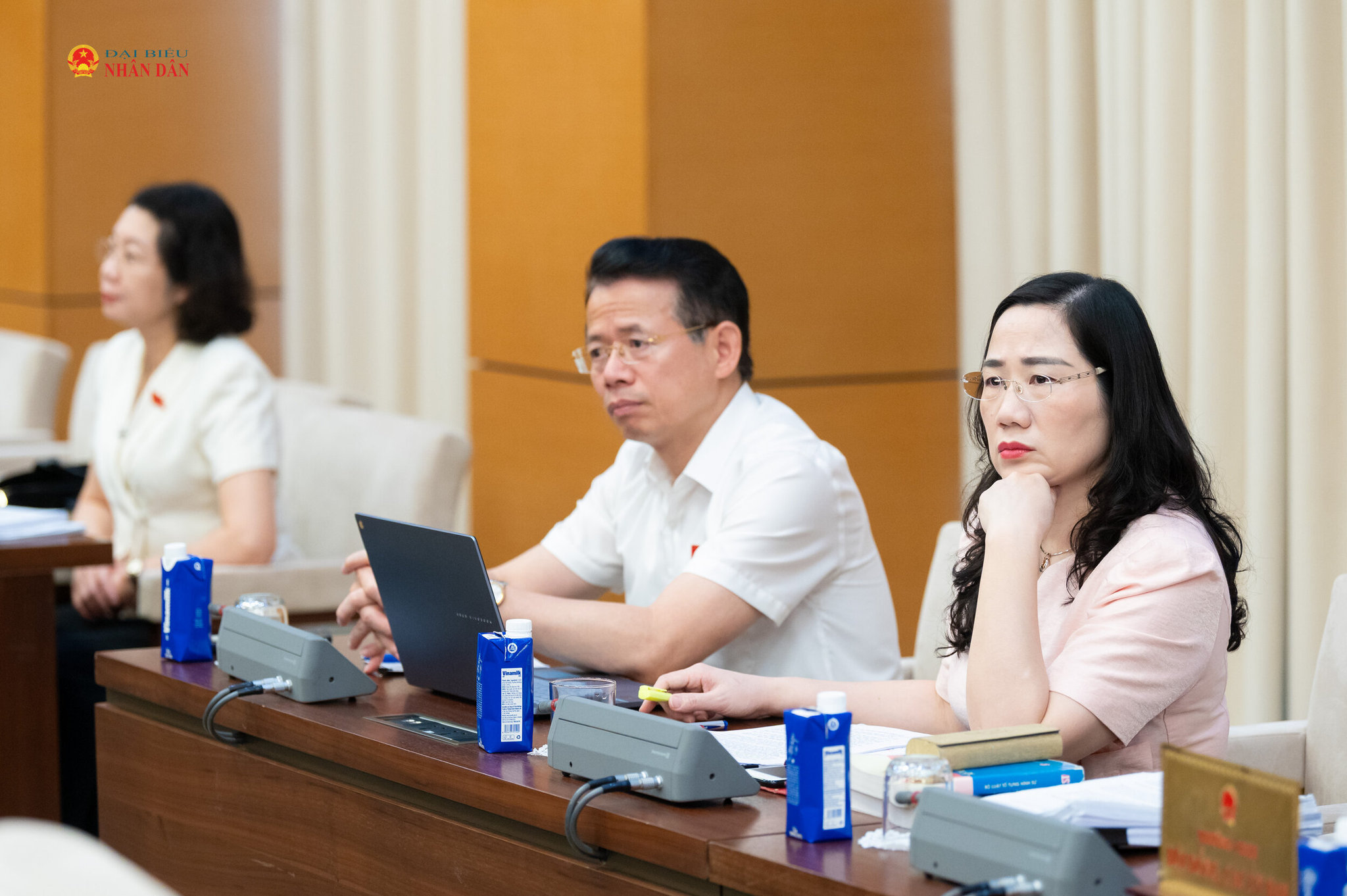 Đại biểu tham dự phiên họp
