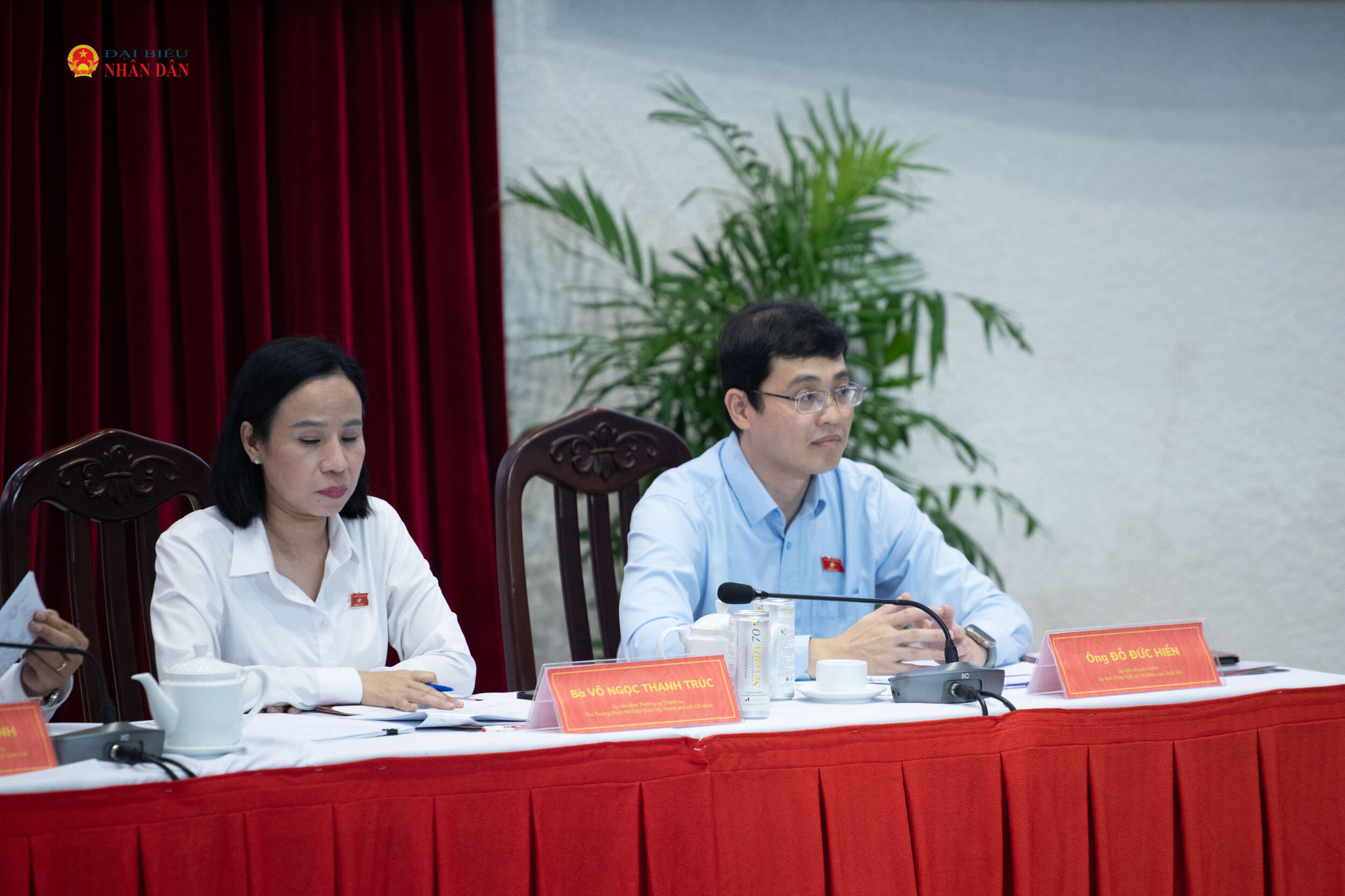 ĐBQH Thành phố Hồ Chí Minh tham dự Hội nghị