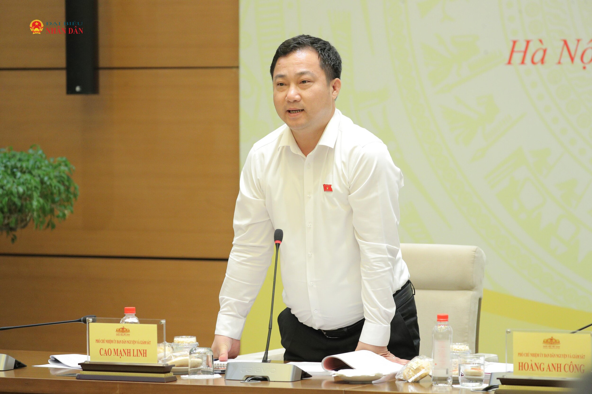 Phó Chủ nhiệm Ủy ban Dân nguyện và Giám sát Cao Mạnh Linh