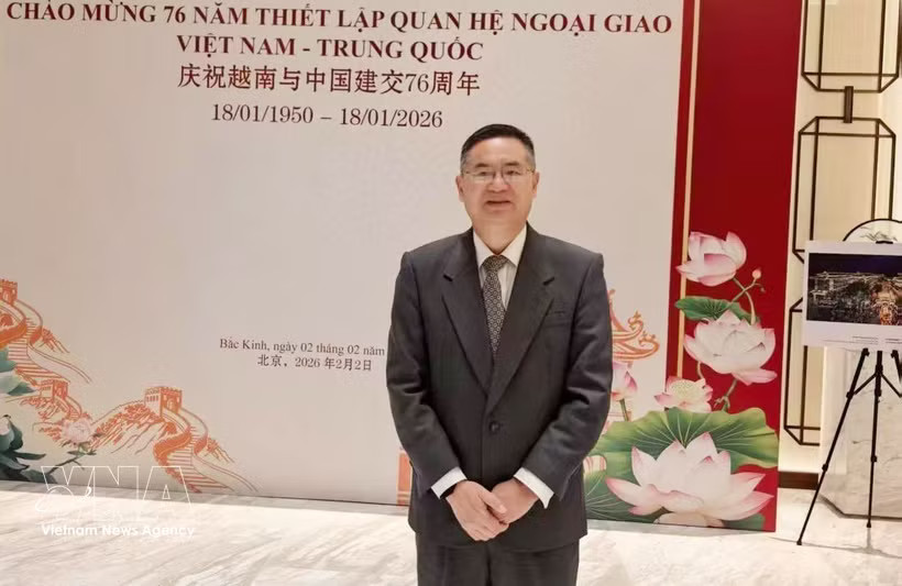 Prof. Dr. Cheng Hanping, Executive Director of the Institute of Regional and Country Studies and Director of the Vietnam Research Centre at China's Zhejiang University of Technology (Photo published by VNA)