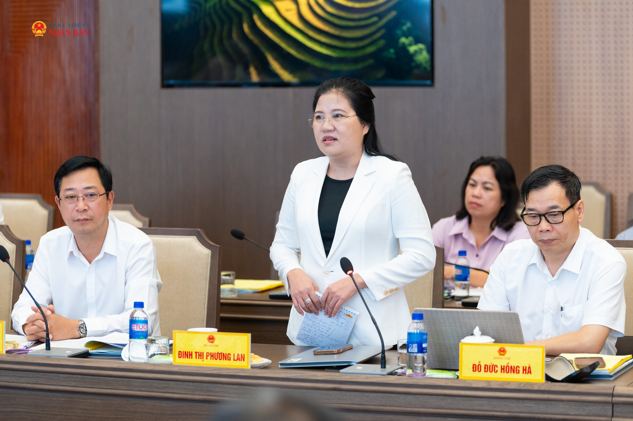 Phó Chủ tịch Hội đồng Dân tộc, thành viên Ban Chỉ đạo Đinh Thị Phương Lan phát biểu