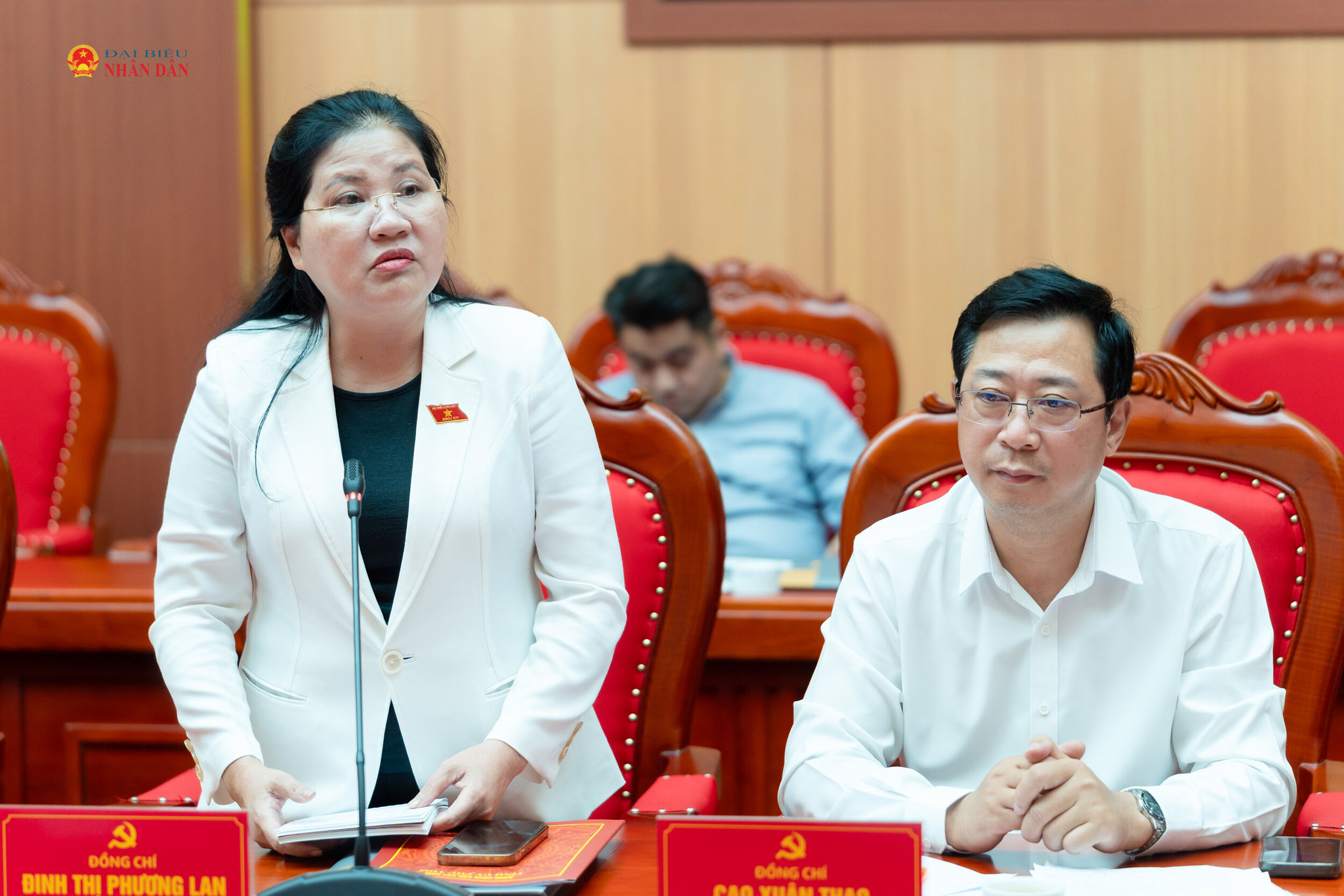 Phó Chủ tịch Hội đồng Dân tộc, thành viên Ban Chỉ đạo Đinh Thị Phương Lan phát biểu