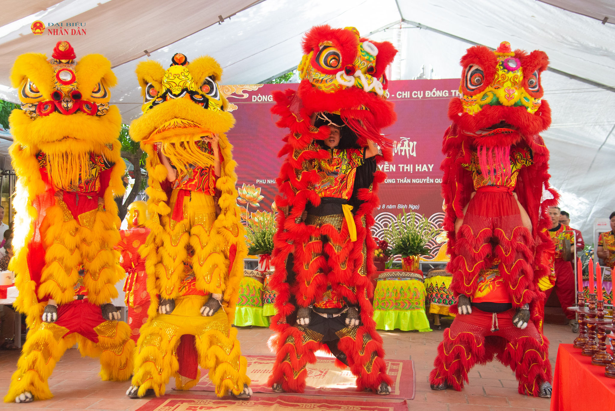 Lễ giỗ Tổ mẫu Chi cụ Đồng Thần: Giữ mạch nguồn gia phong, nối dài đạo lý “uống nước nhớ nguồn”