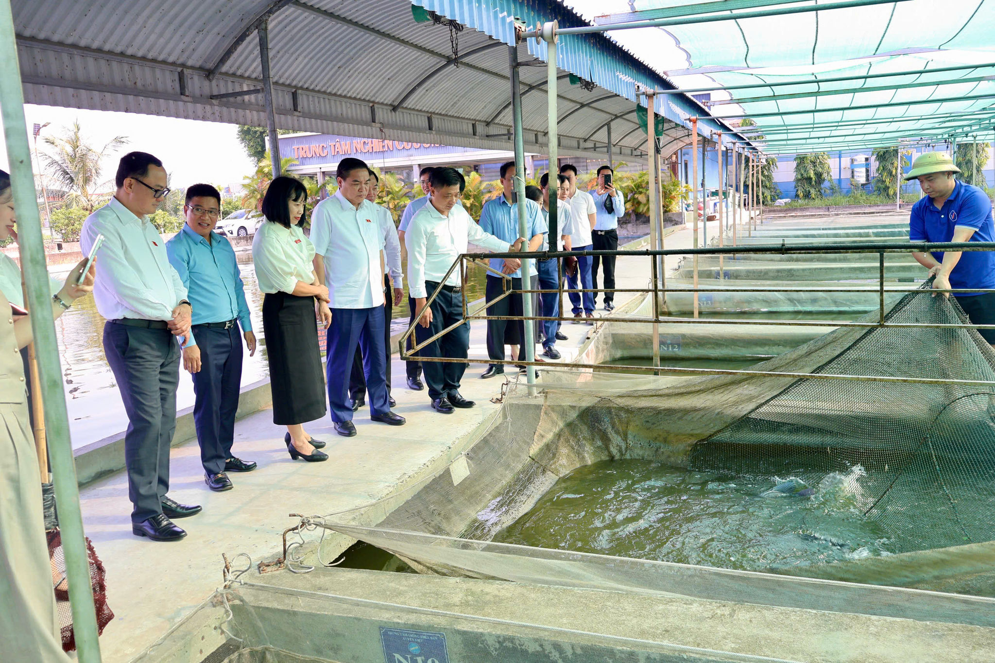 Đoàn ĐBQH thành phố Hải Phòng giám sát việc thực hiện chính sách, pháp luật về an toàn thực phẩm giai đoạn 2022 - 2026 tại Hợp tác xã Sản xuất và Thương mại Thủy sản Xuyên Việt, xã Gia Phúc