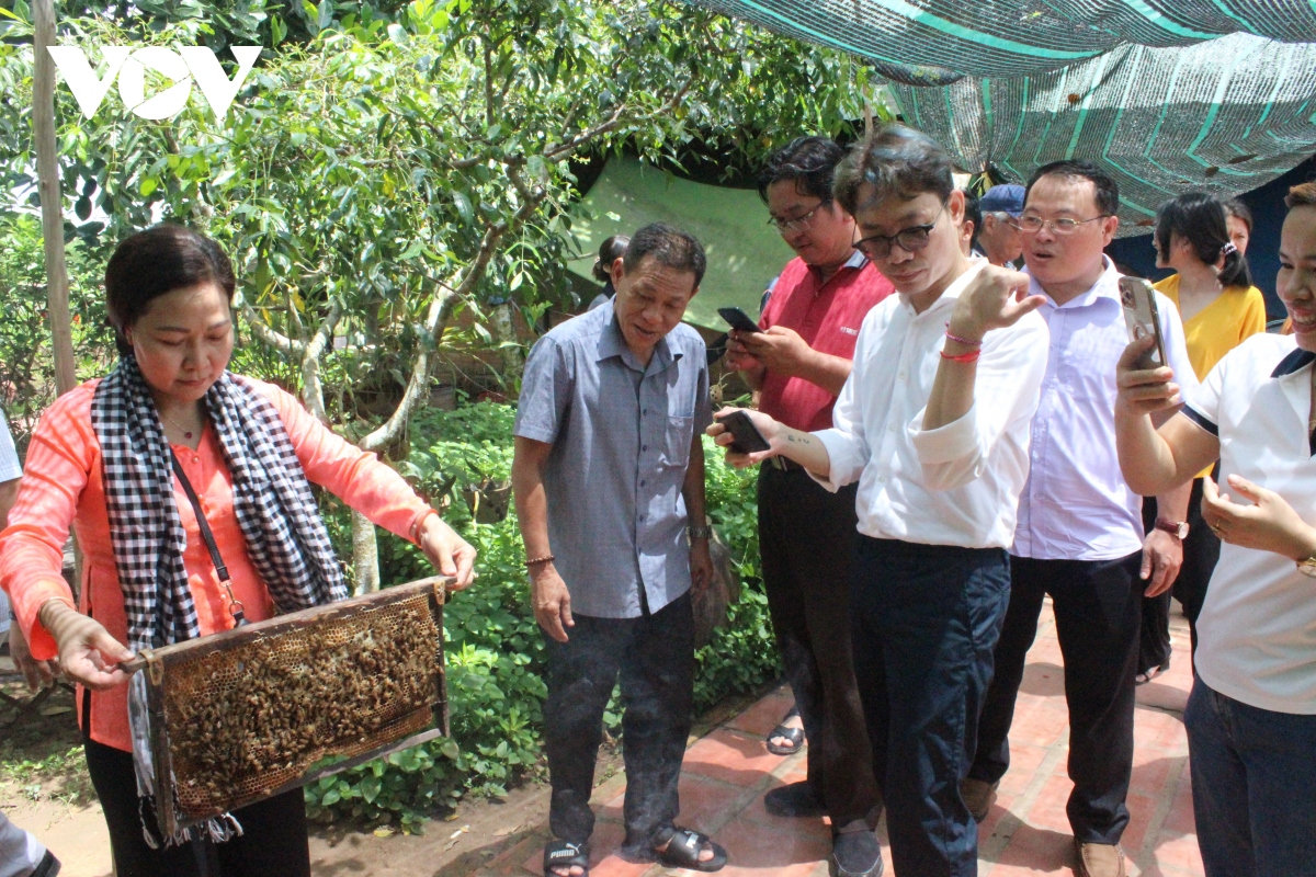 Du lịch Vĩnh Long