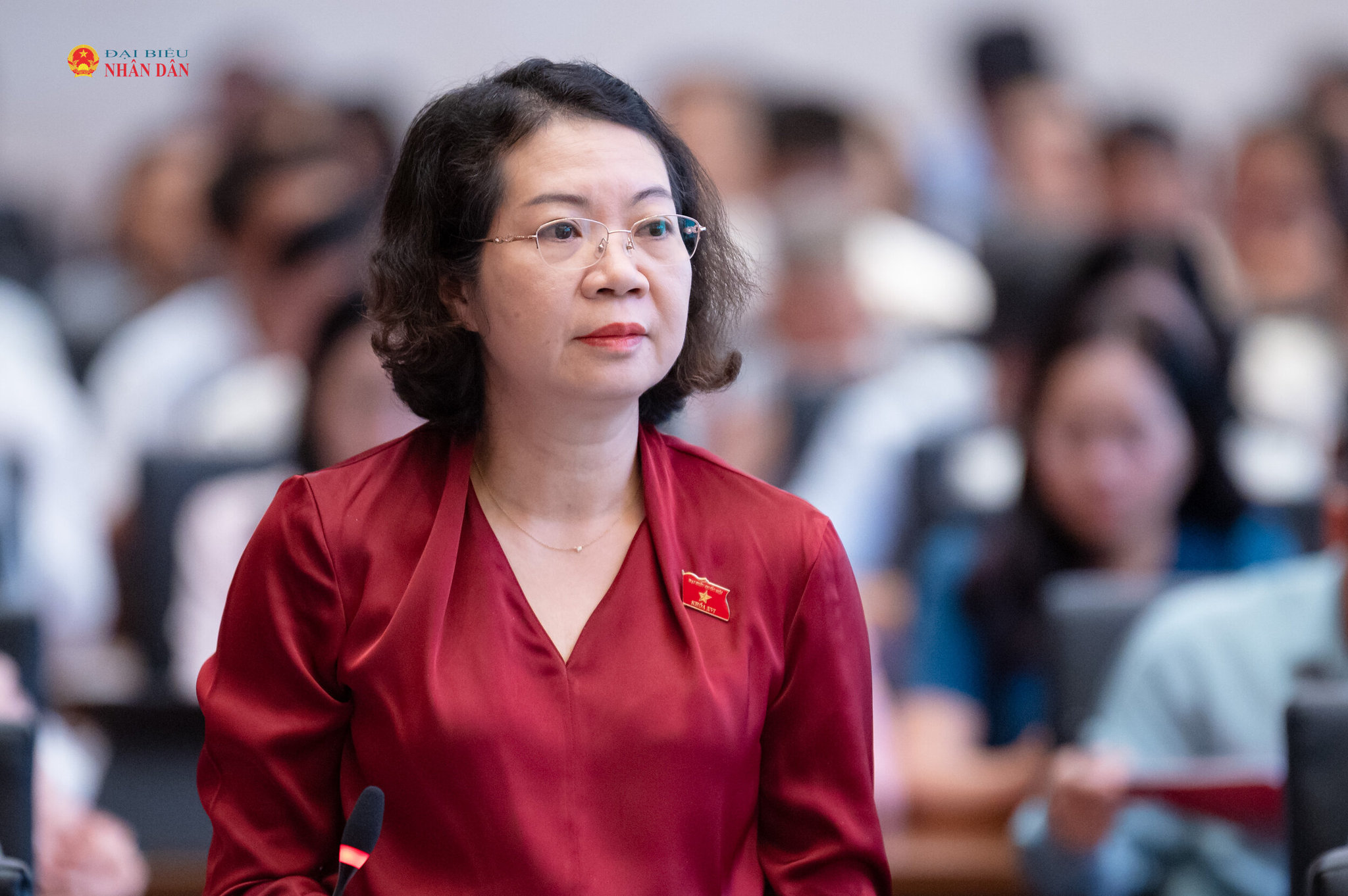 ĐBQH Mai Thị Phương Hoa (tỉnh Ninh Bình) phát biểu