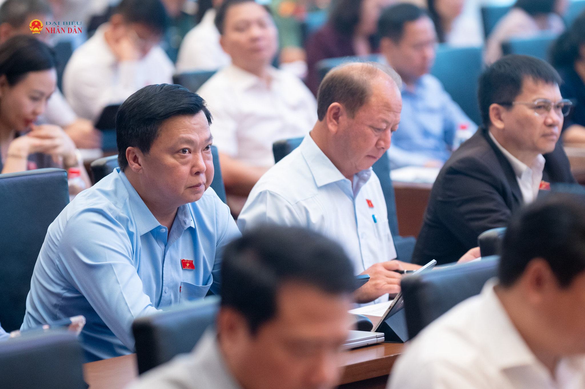 Các đại biểu dự hội nghị