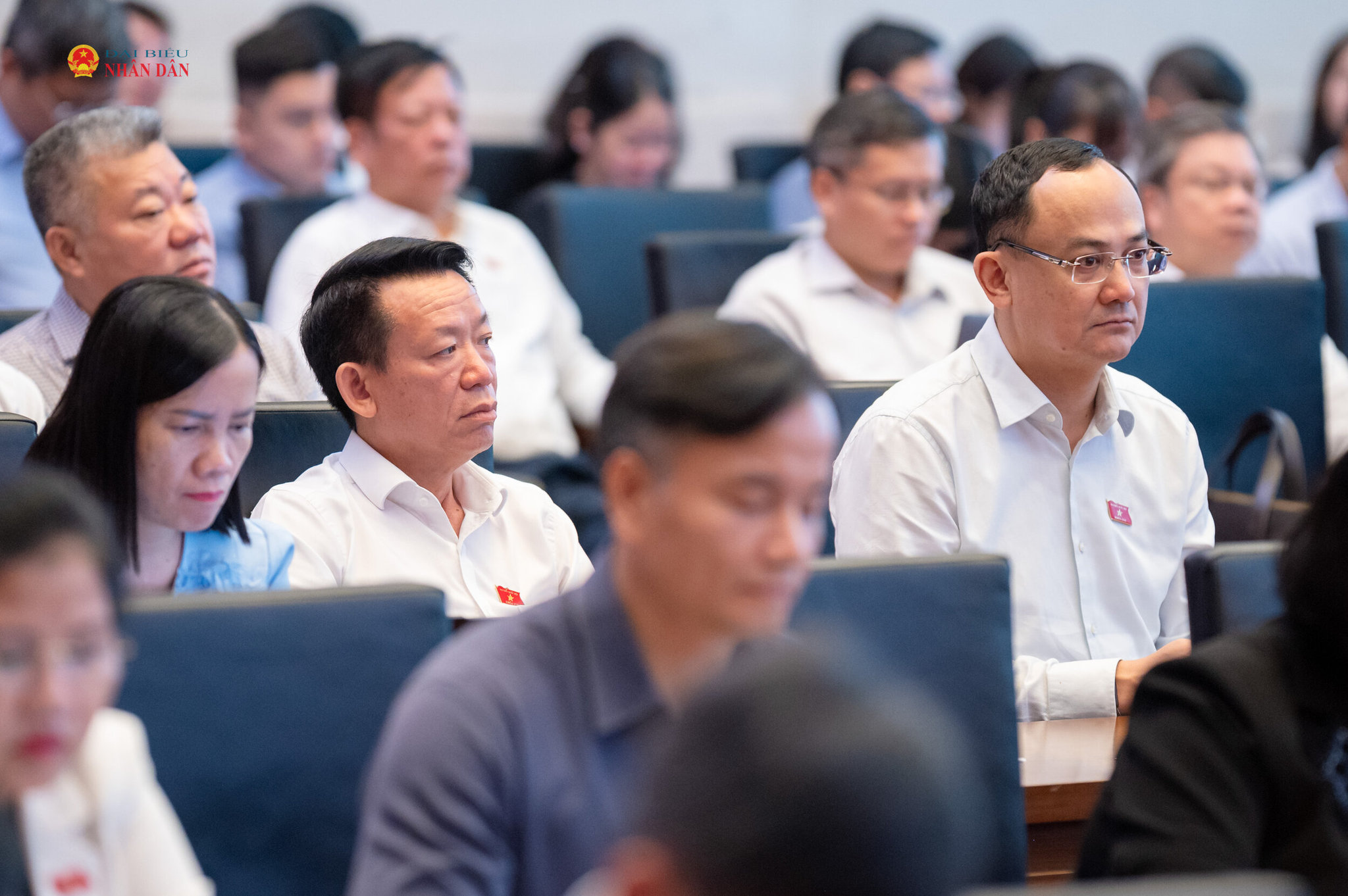 Các đại biểu dự hội nghị