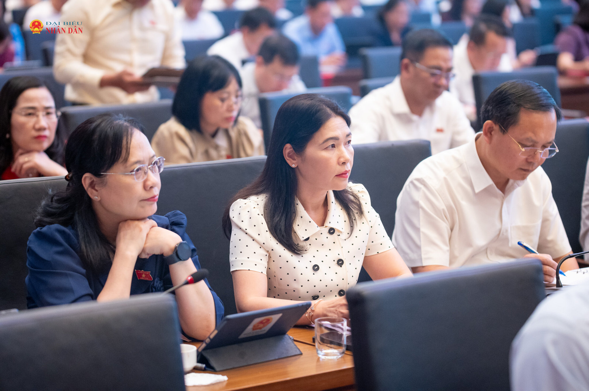Các đại biểu tham dự hội nghị