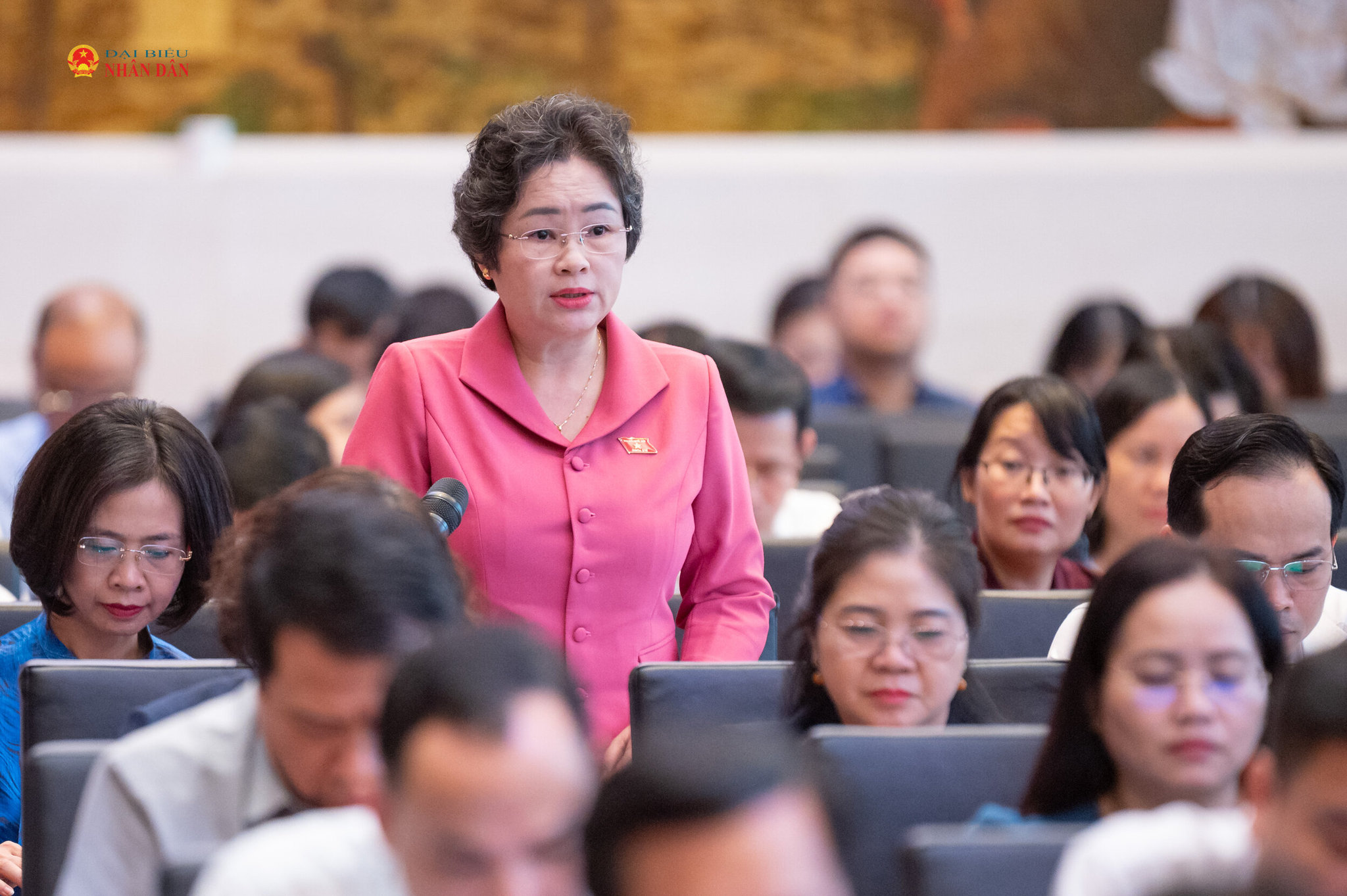 Phó Trưởng đoàn ĐBQH chuyên trách tỉnh Điện Biên Lò Thị Luyến phát biểu