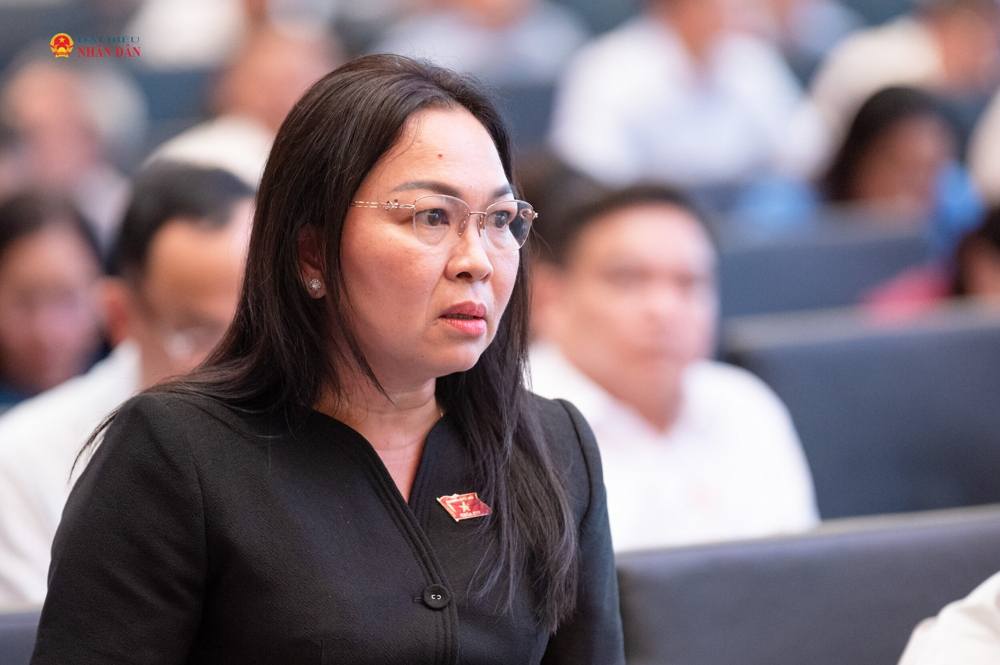 Phó Trưởng Đoàn ĐBQH chuyên trách tỉnh An Giang Lý Anh Thư phát biểu