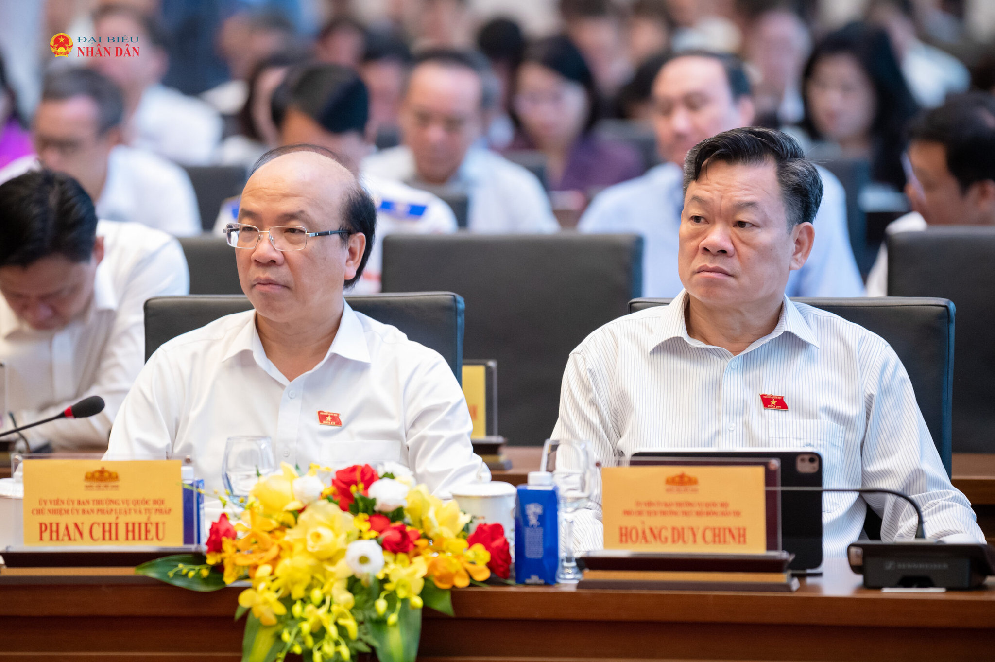 Các đại biểu tham dự hội nghị
