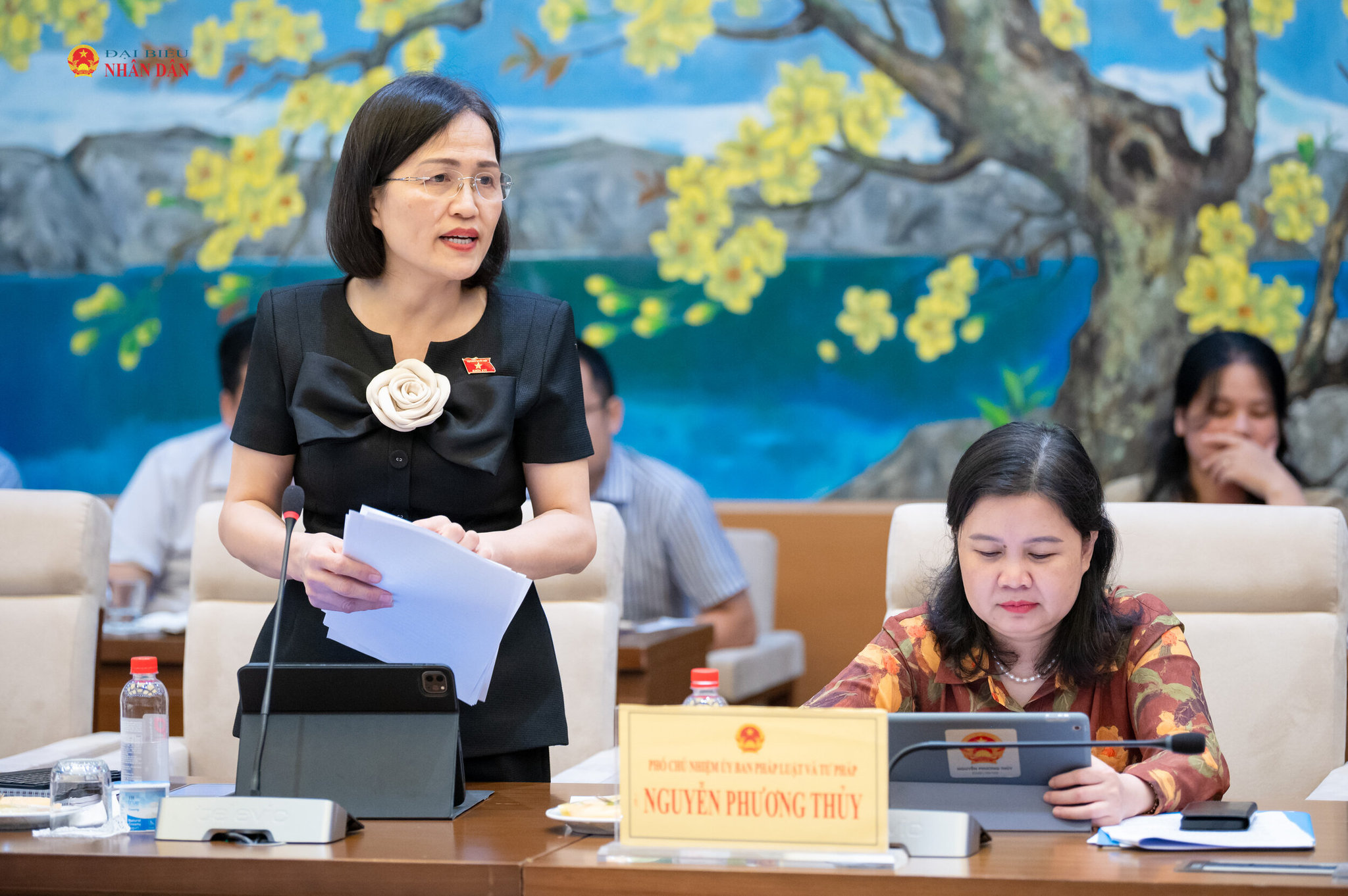 ĐBQH hoạt động chuyên trách tại Ủy ban Pháp luật và Tư pháp Trần Thị Kim Nhung phát biểu